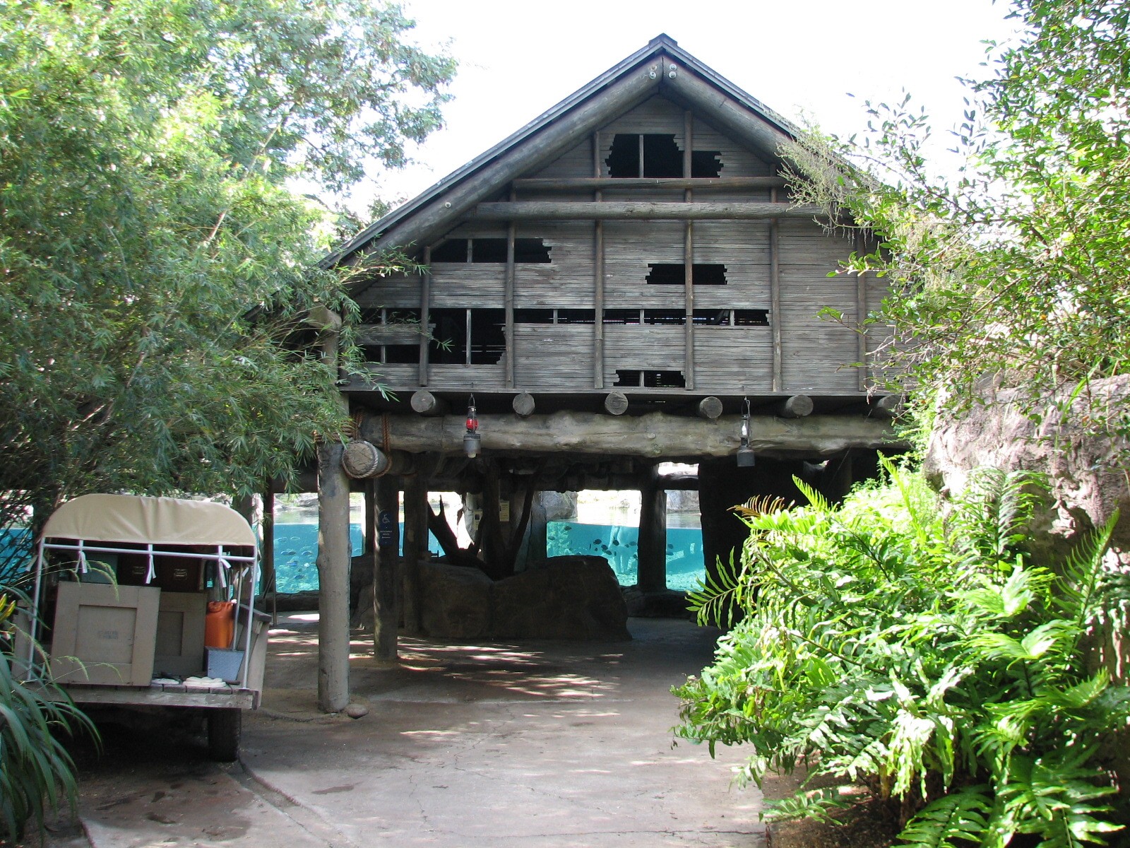 Edge of Africa Hippopotamus Exhibit