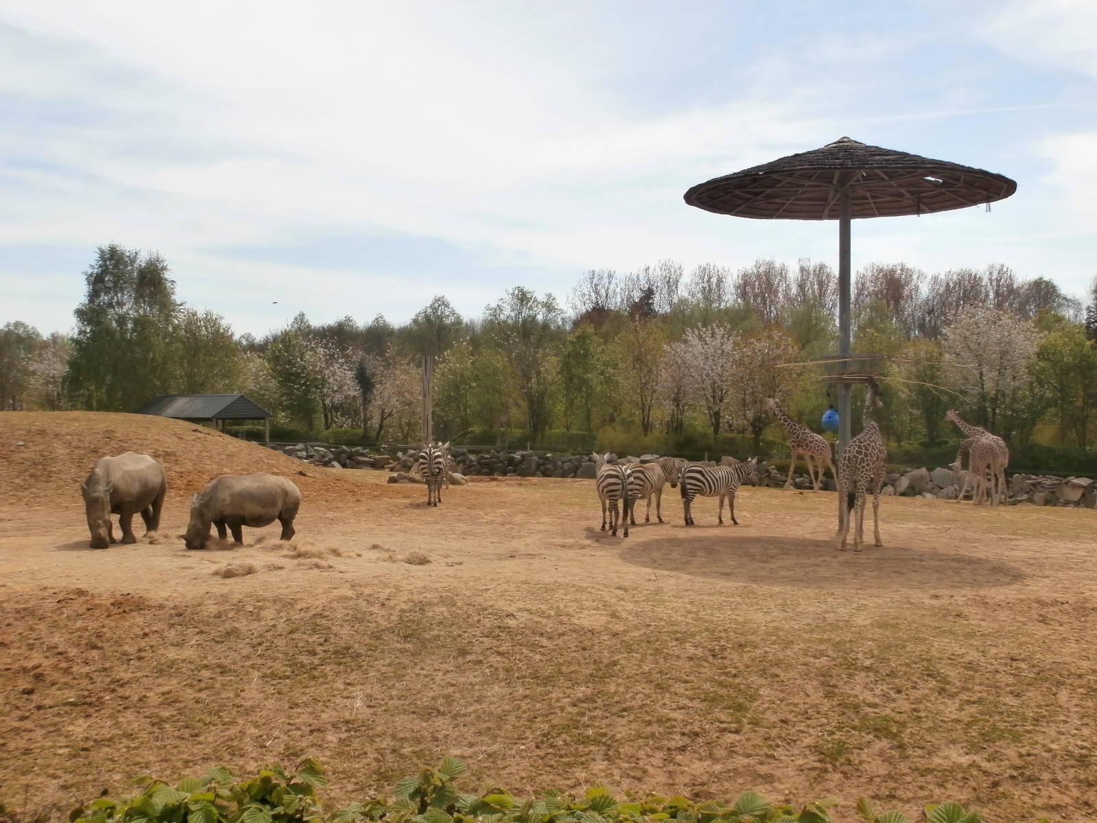 Edge of Africa - Kingdom of the Wild