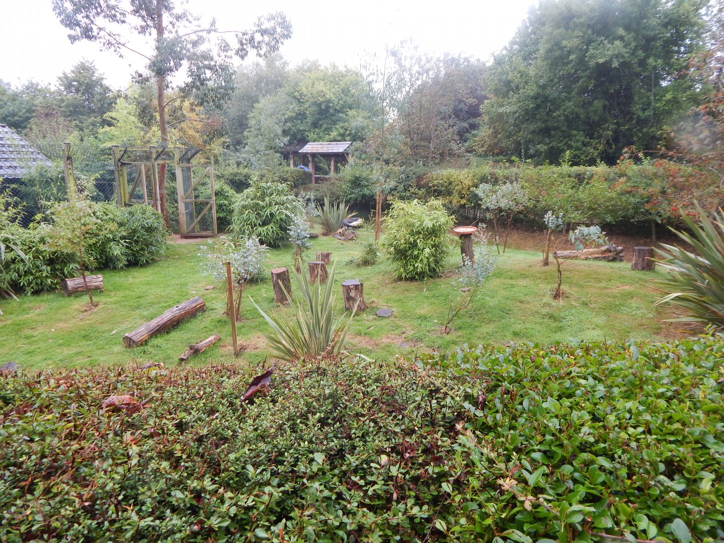Edge of Africa - Kirk's dik-dik and Grey crowned crane enclosure 140921