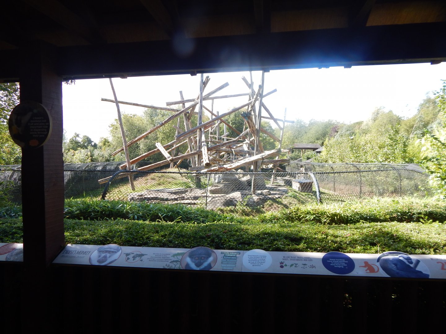 Edge of Africa - L'Hoest's monkey enclosure 110925