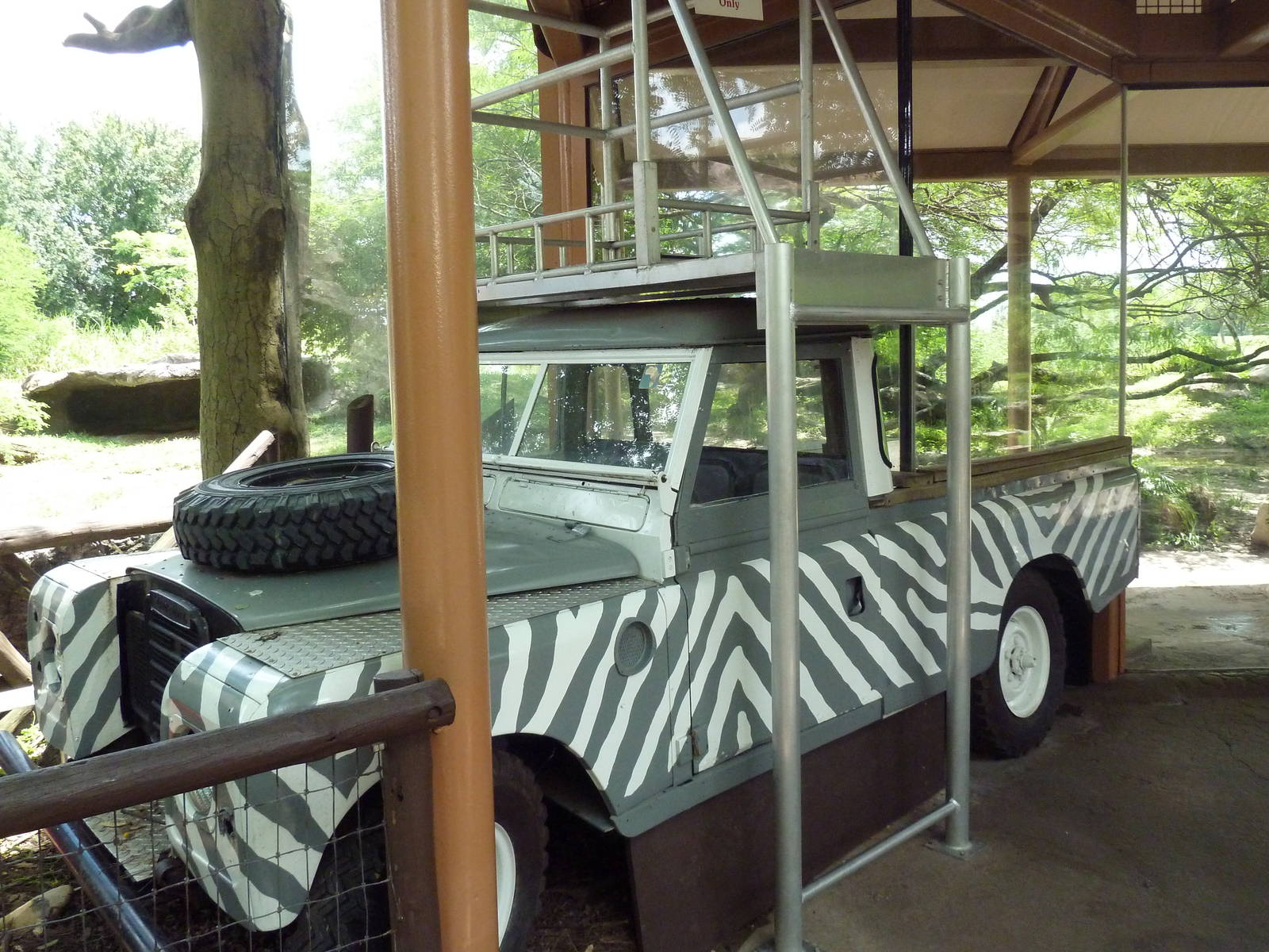 Edge of Africa - Lion/Spotted Hyena Rotational Exhibit