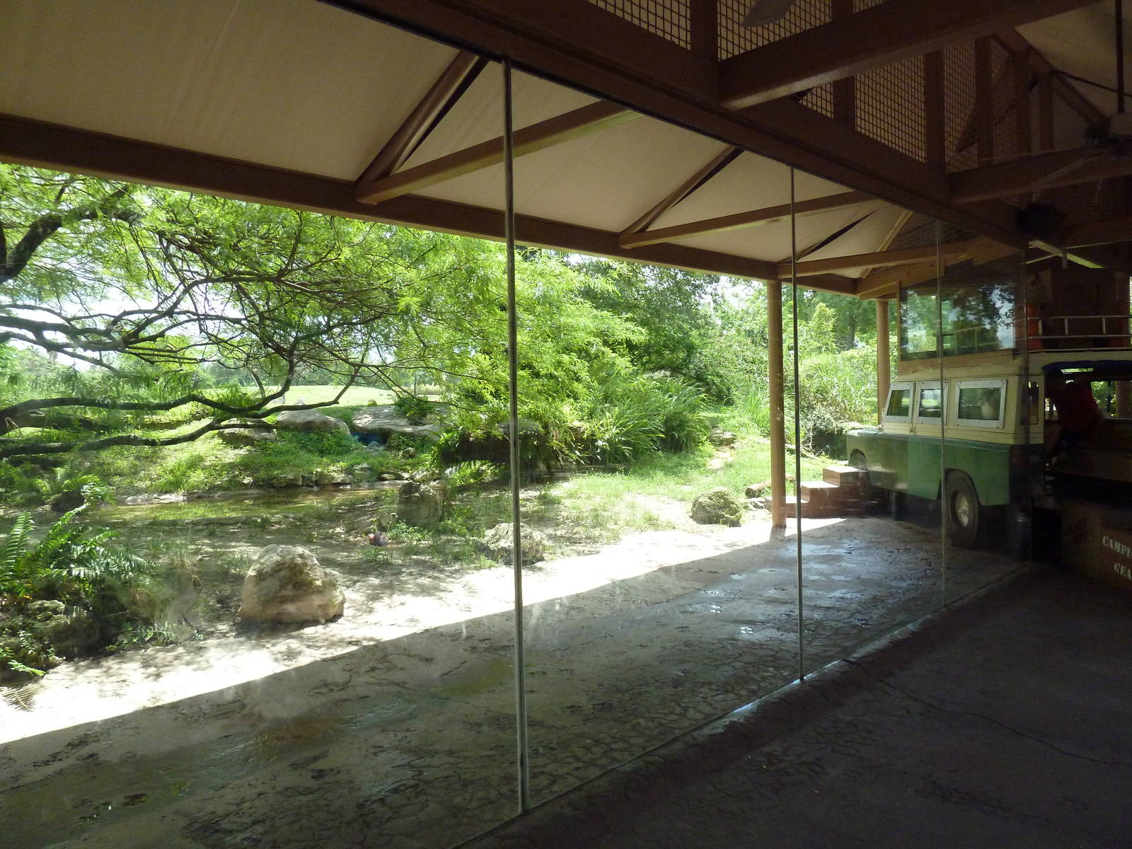 Edge of Africa - Lion/Spotted Hyena Rotational Exhibit