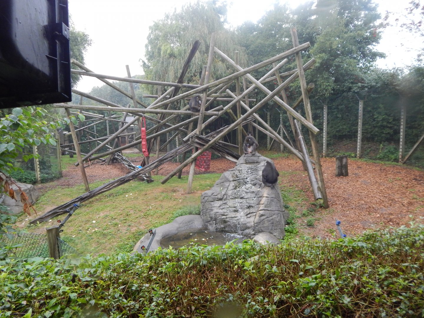 Edge of Africa - Mandrill enclosure 140921