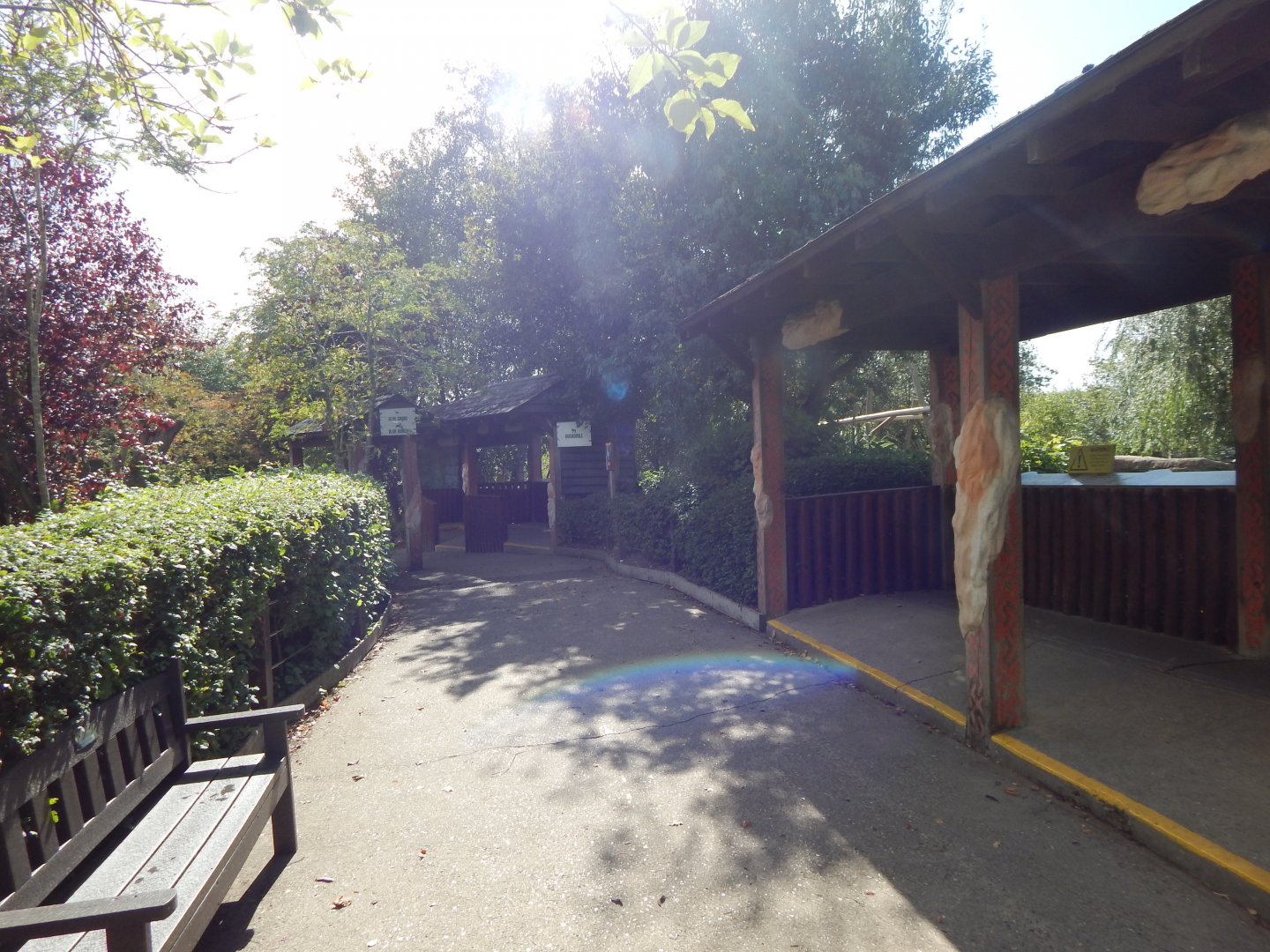 Edge of Africa - Mandrill viewing area 110925