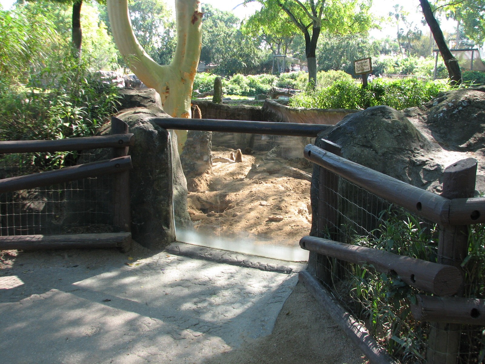Edge of Africa - Meerkat Exhibit