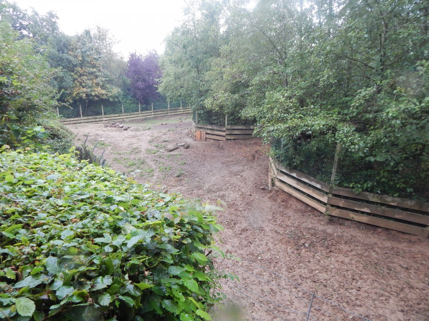 Edge of Africa - Northern warthog enclosure 140921