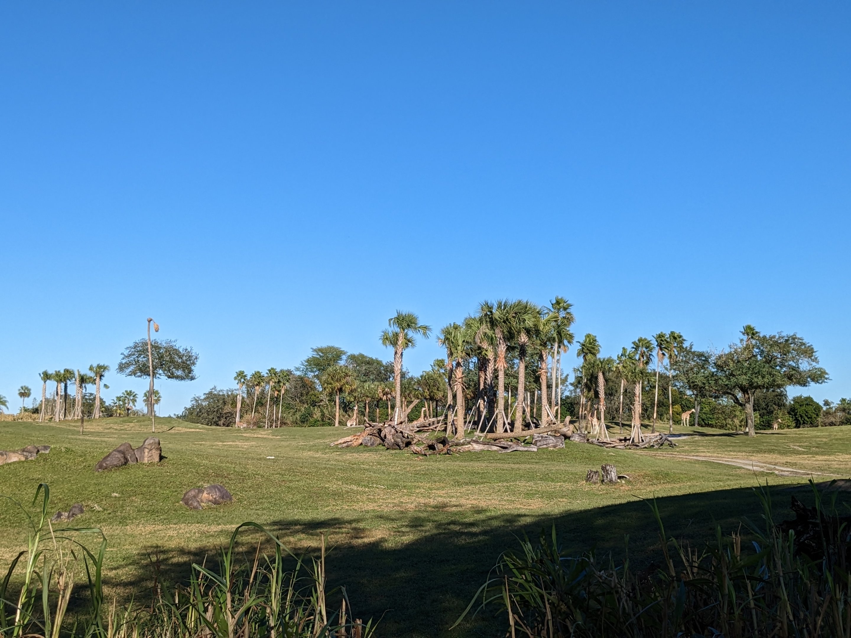 Edge of Africa - plains overlook