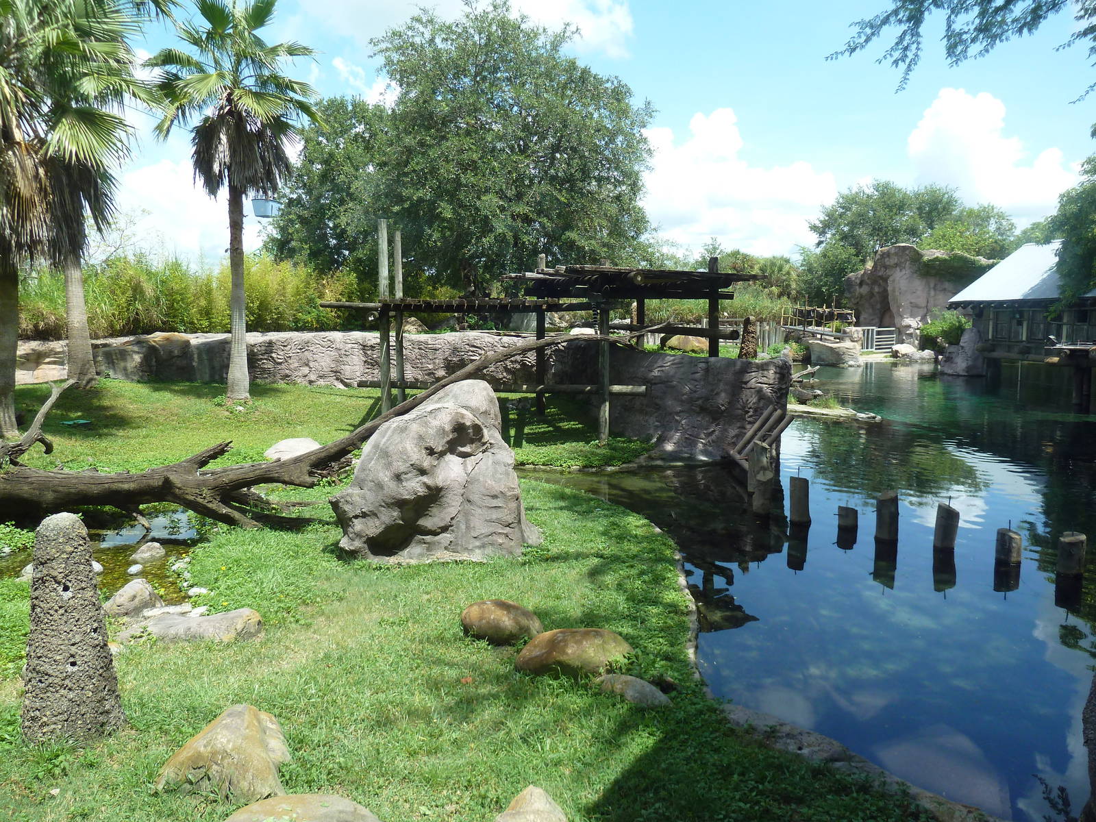 Edge of Africa - Red-Fronted Lemur/Ring-Tailed Lemur Exhibit