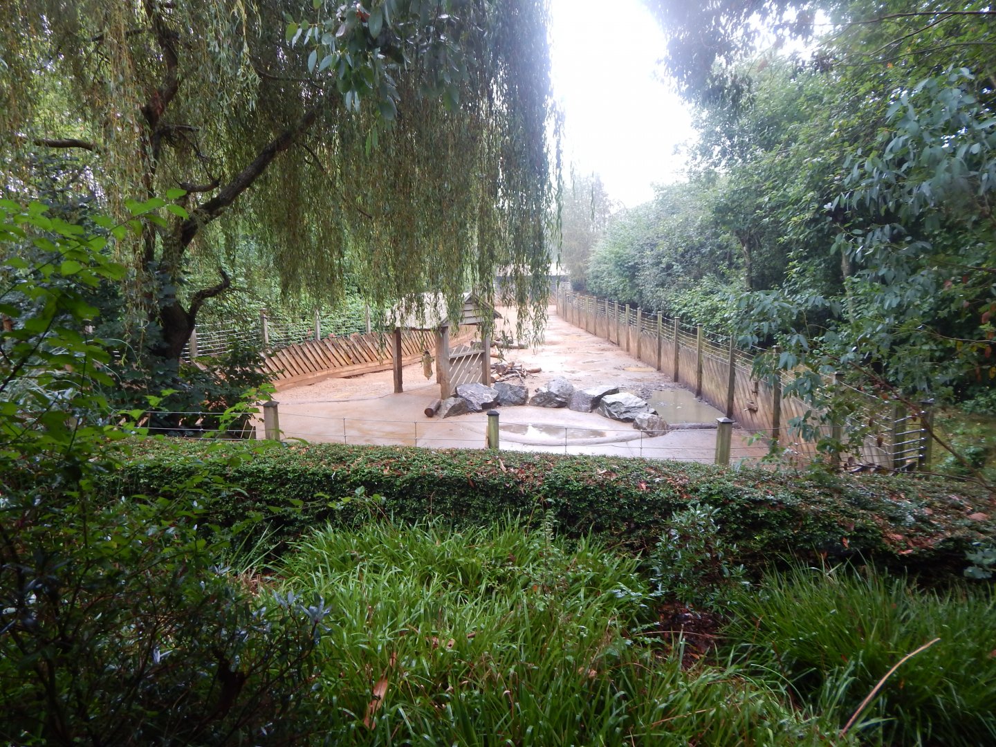 Edge of Africa - Red river hog enclosure 140921