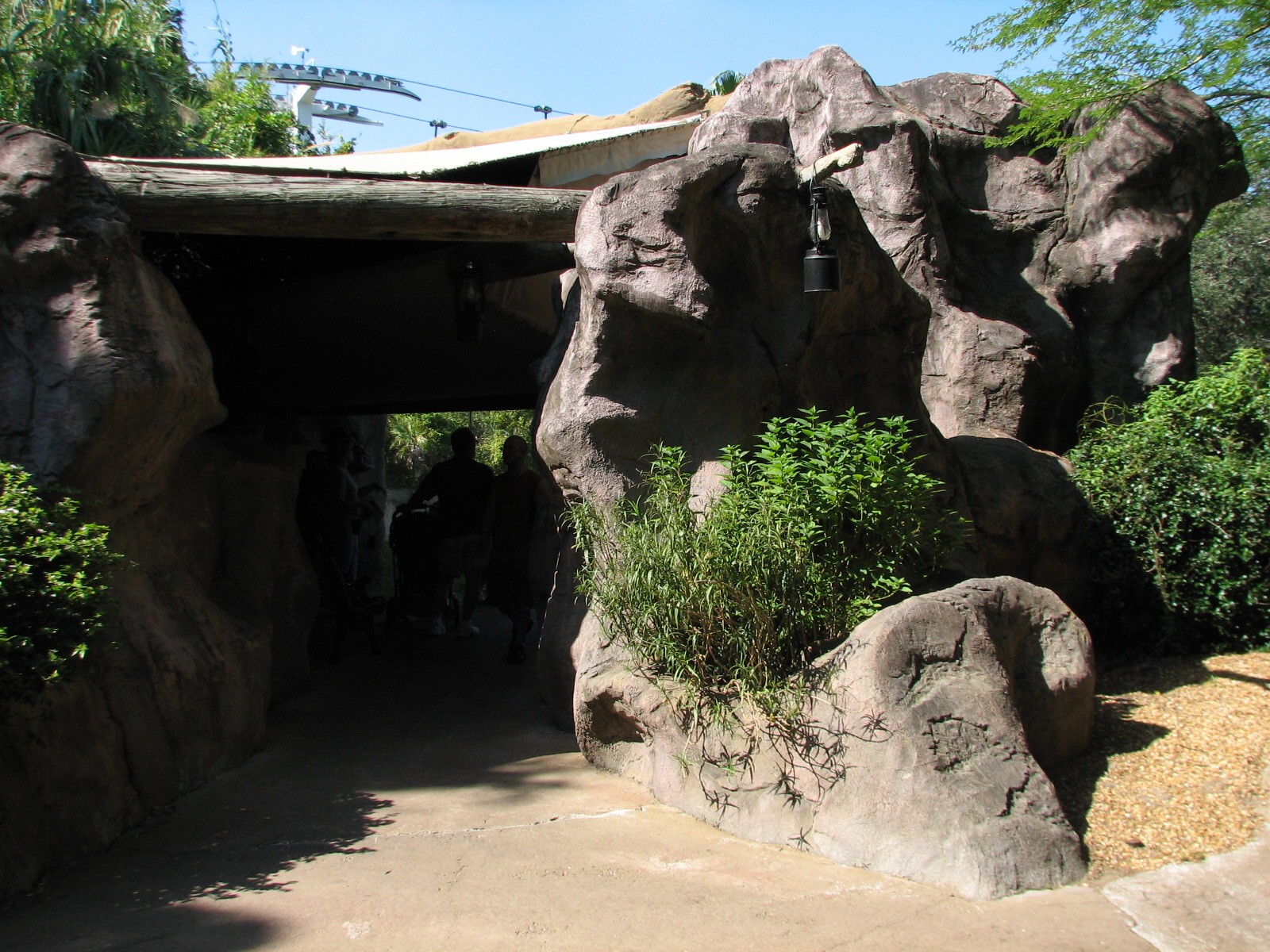 Edge of Africa - Ring-tailed Lemur Exhibit - Viewing Cave
