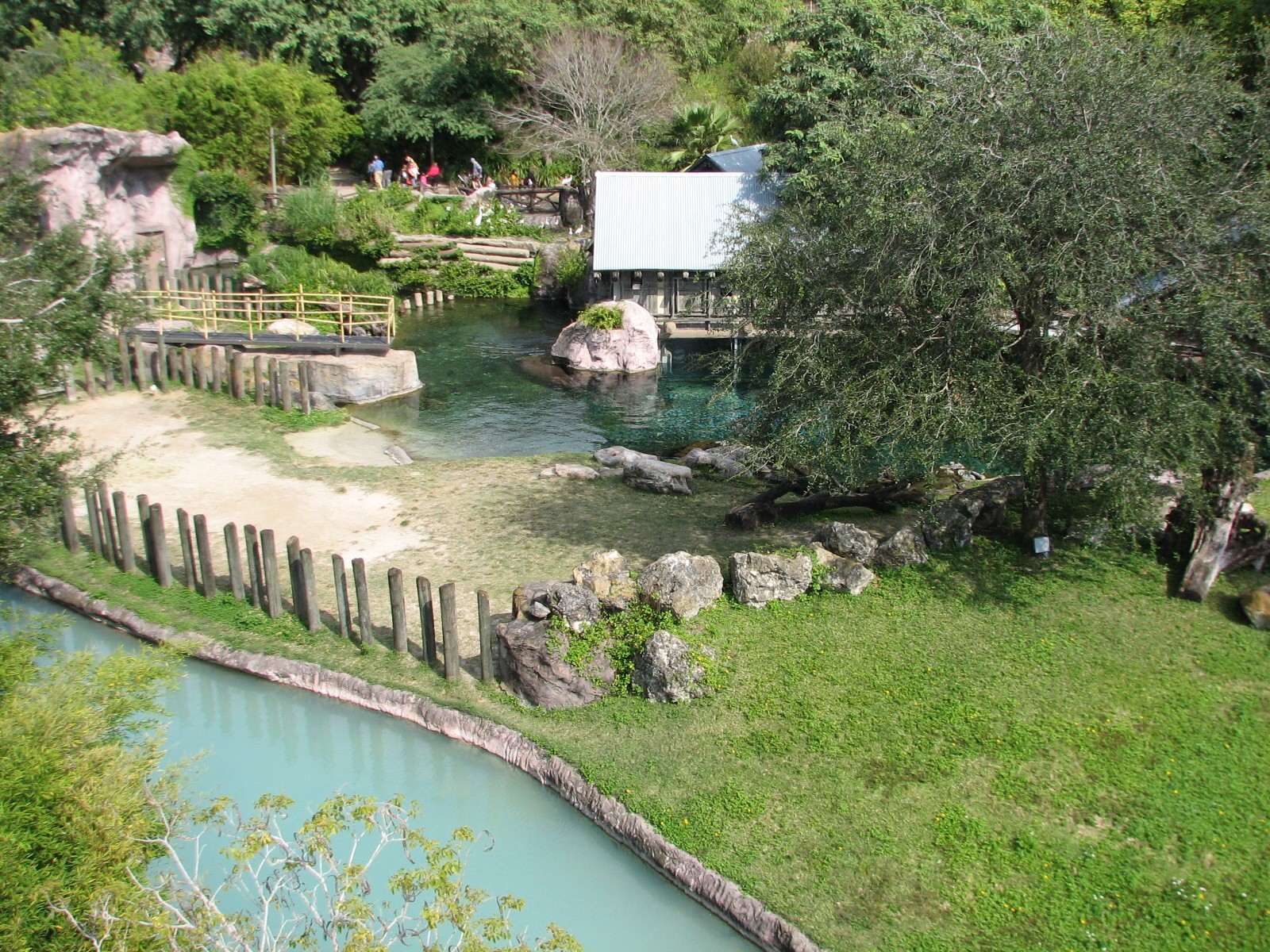 Edge of Africa - River Hippopotamus and Ring-tailed Lemur Exhibits