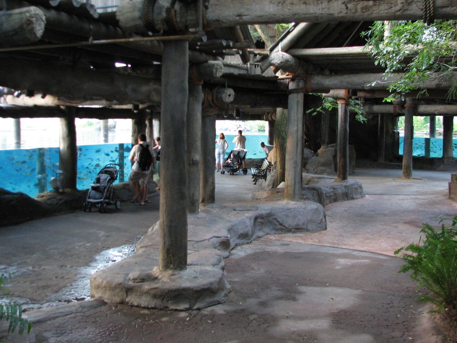 Edge of Africa - River Hippopotamus Exhibit - Viewing Area