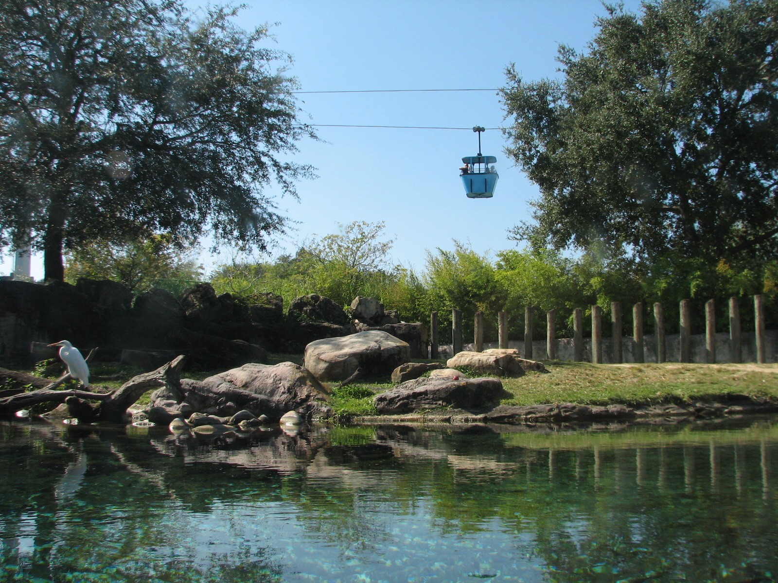 Edge of Africa - River Hippopotamus Exhibit
