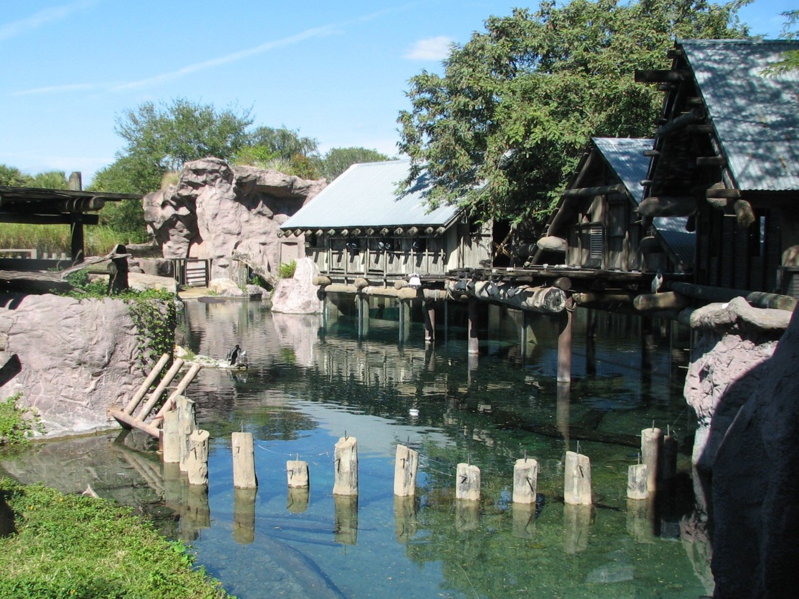 Edge of Africa - River Hippopotamus Exhibit
