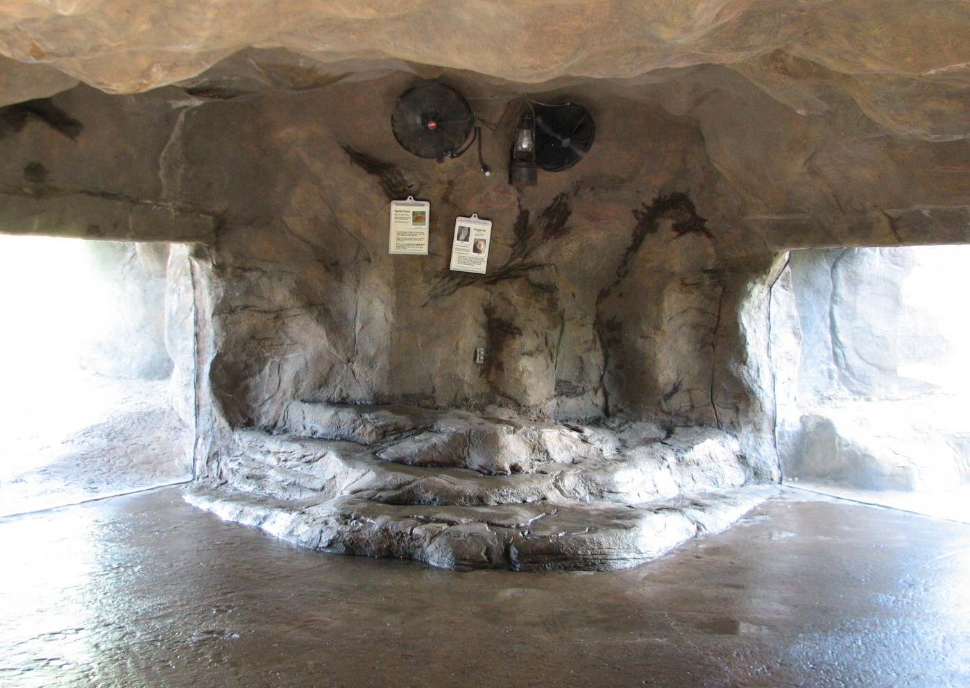 Edge of Africa Rotating Lion or Hyena Exhibit