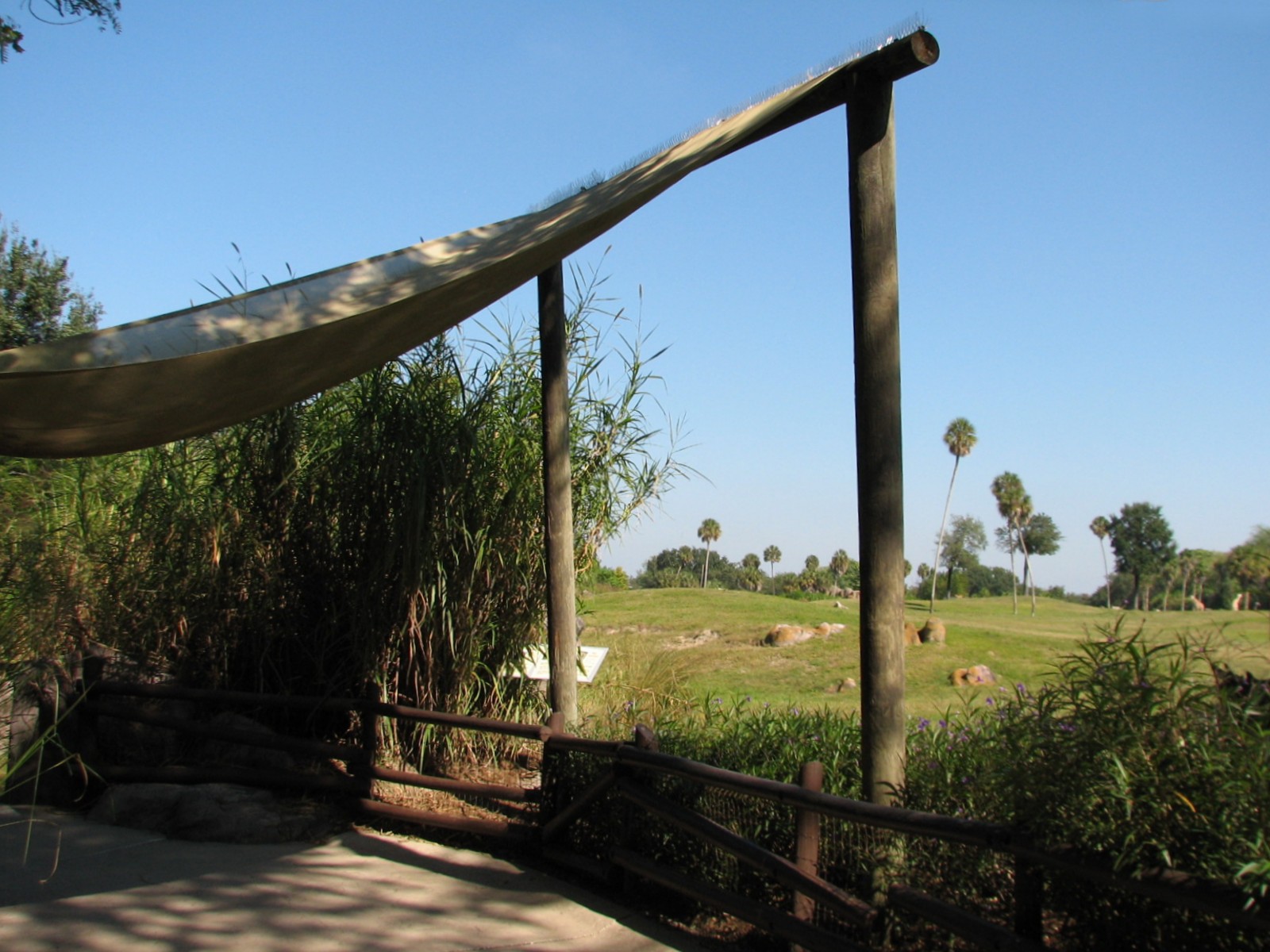 Edge of Africa - Serengeti Plain Viewing Area