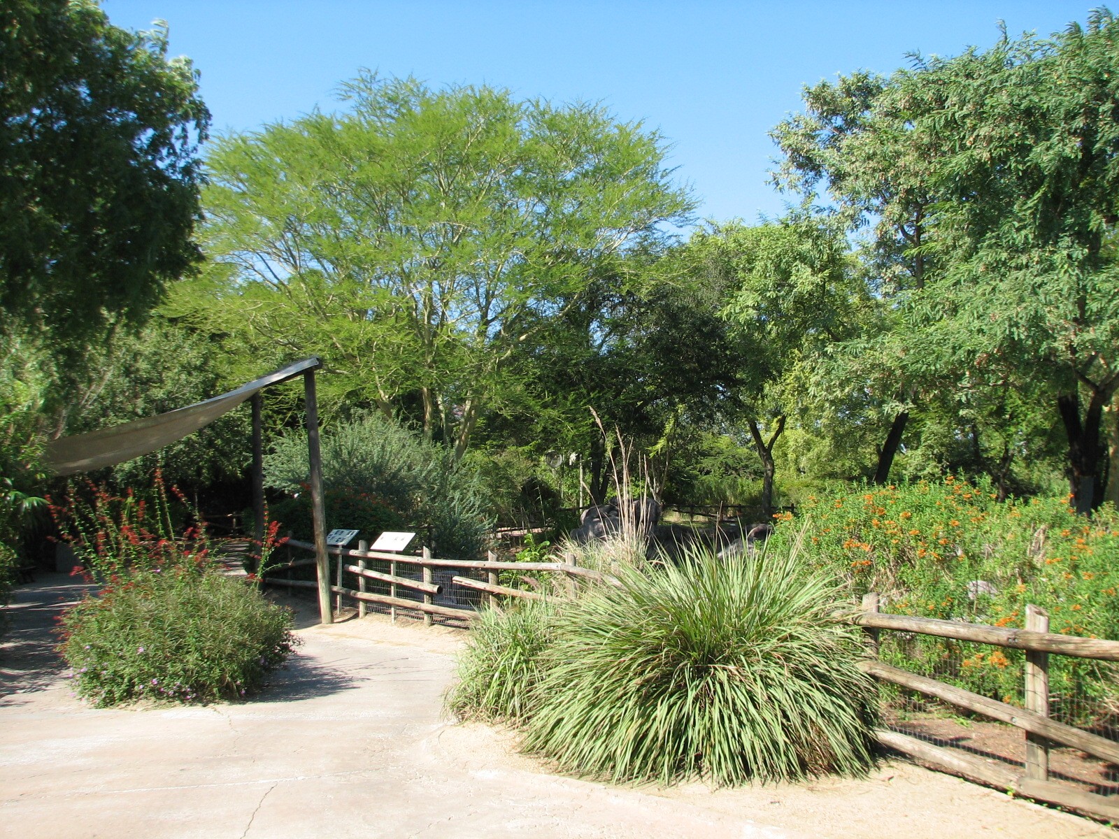 Edge of Africa - Serengeti Plain Waterhole Viewing Area
