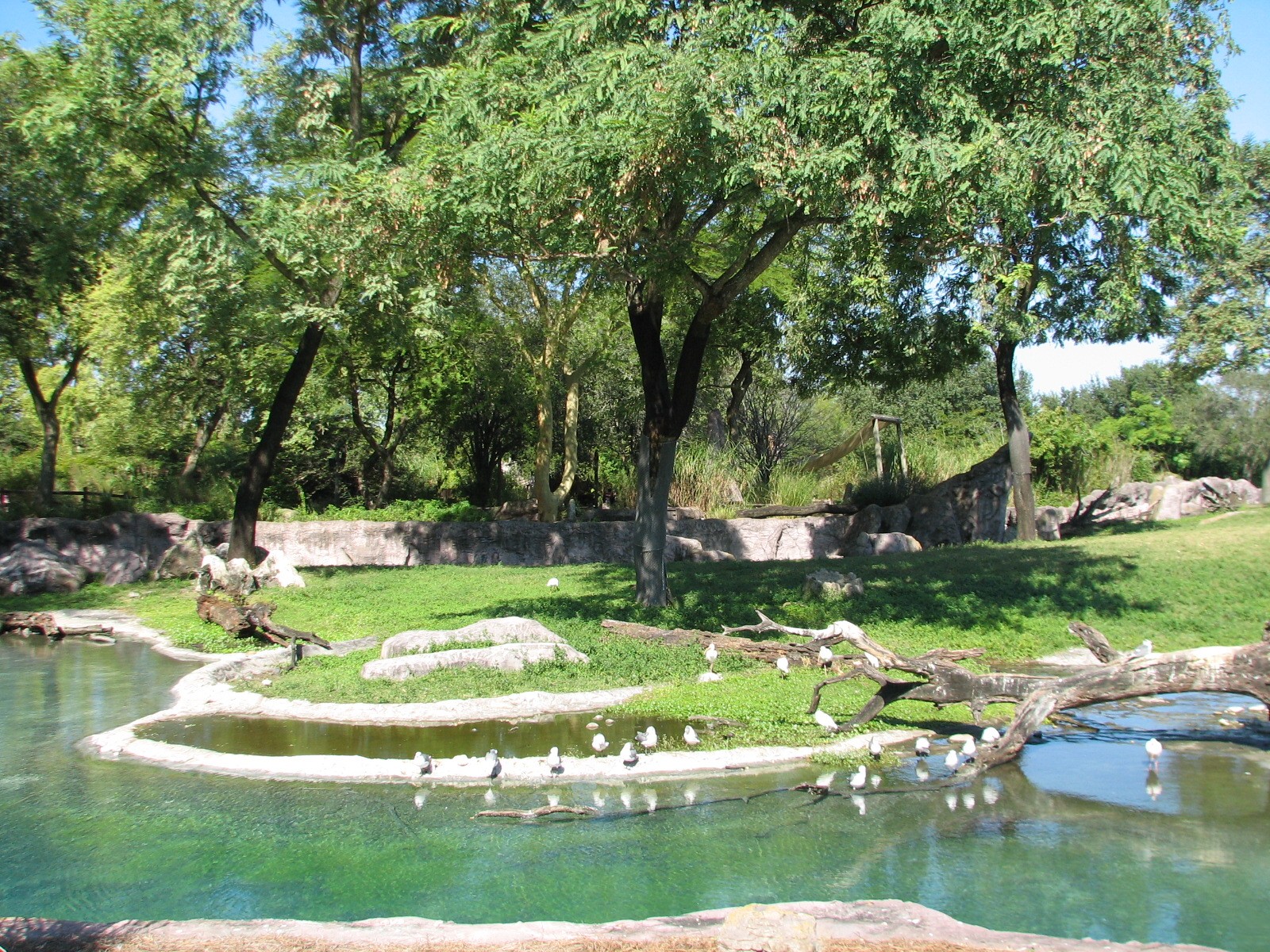 Edge of Africa - Serengeti Plain Waterhole