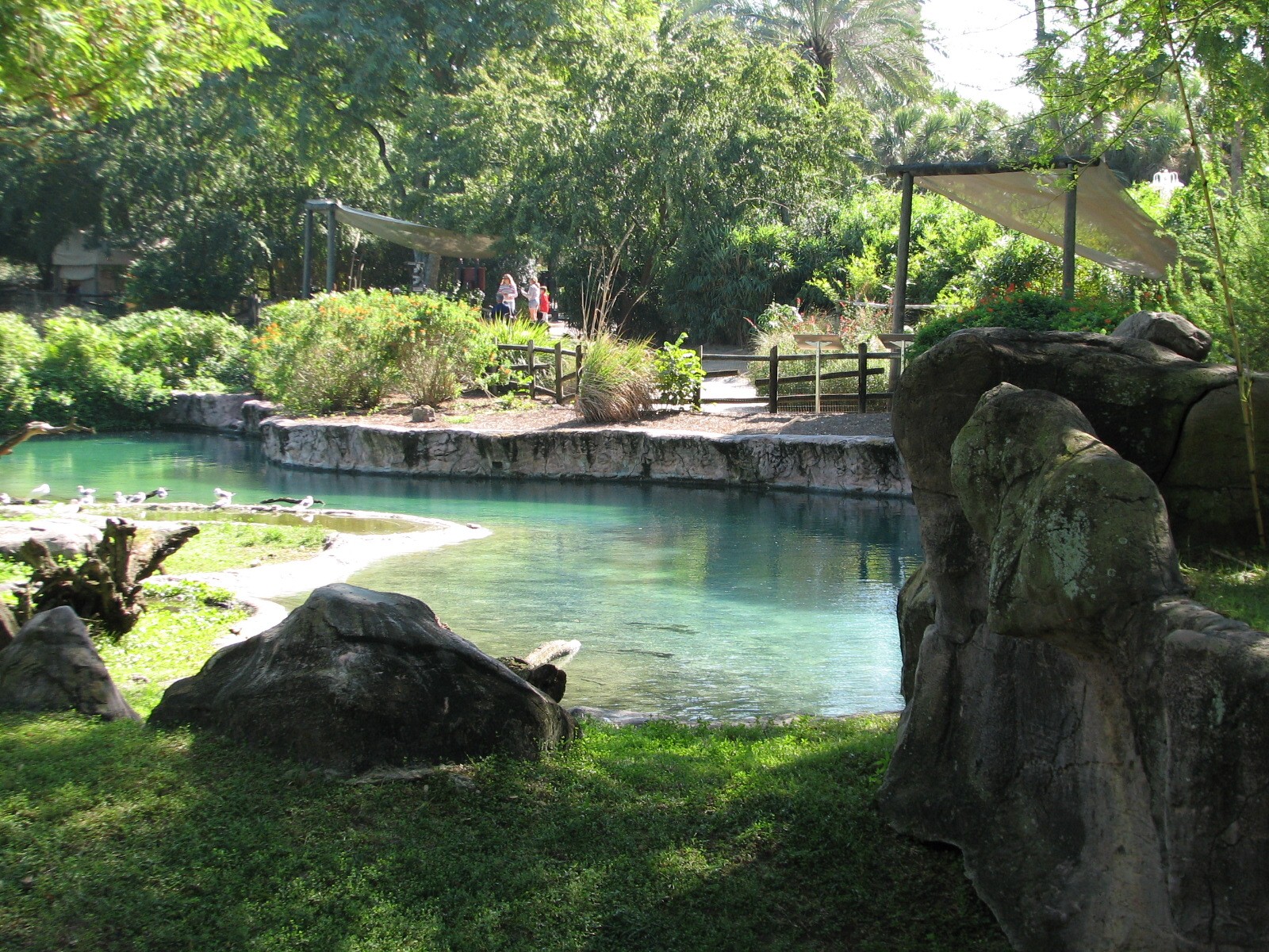 Edge of Africa - Serengeti Plain Waterhole
