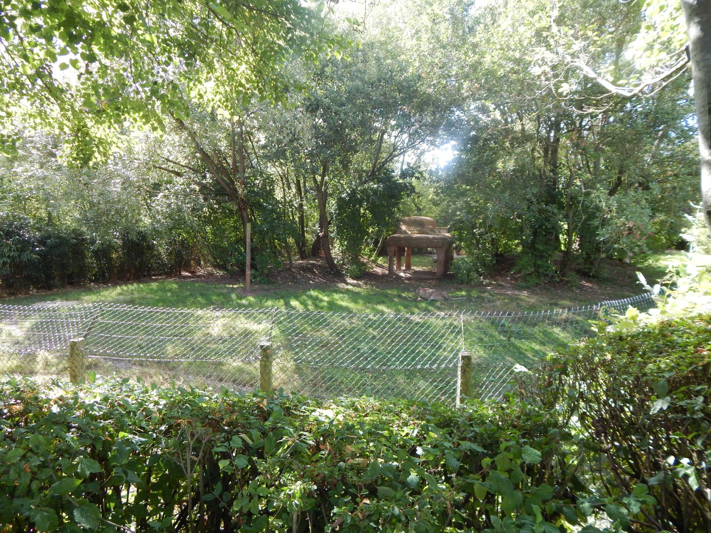 Edge of Africa - South African cheetah enclosure 110925