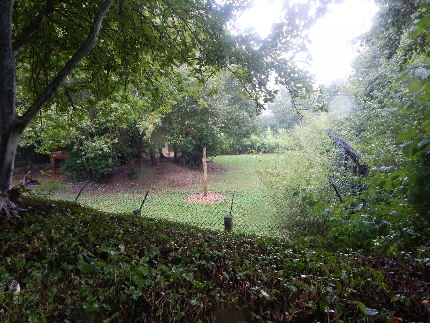 Edge of Africa - South African cheetah enclosure 140921