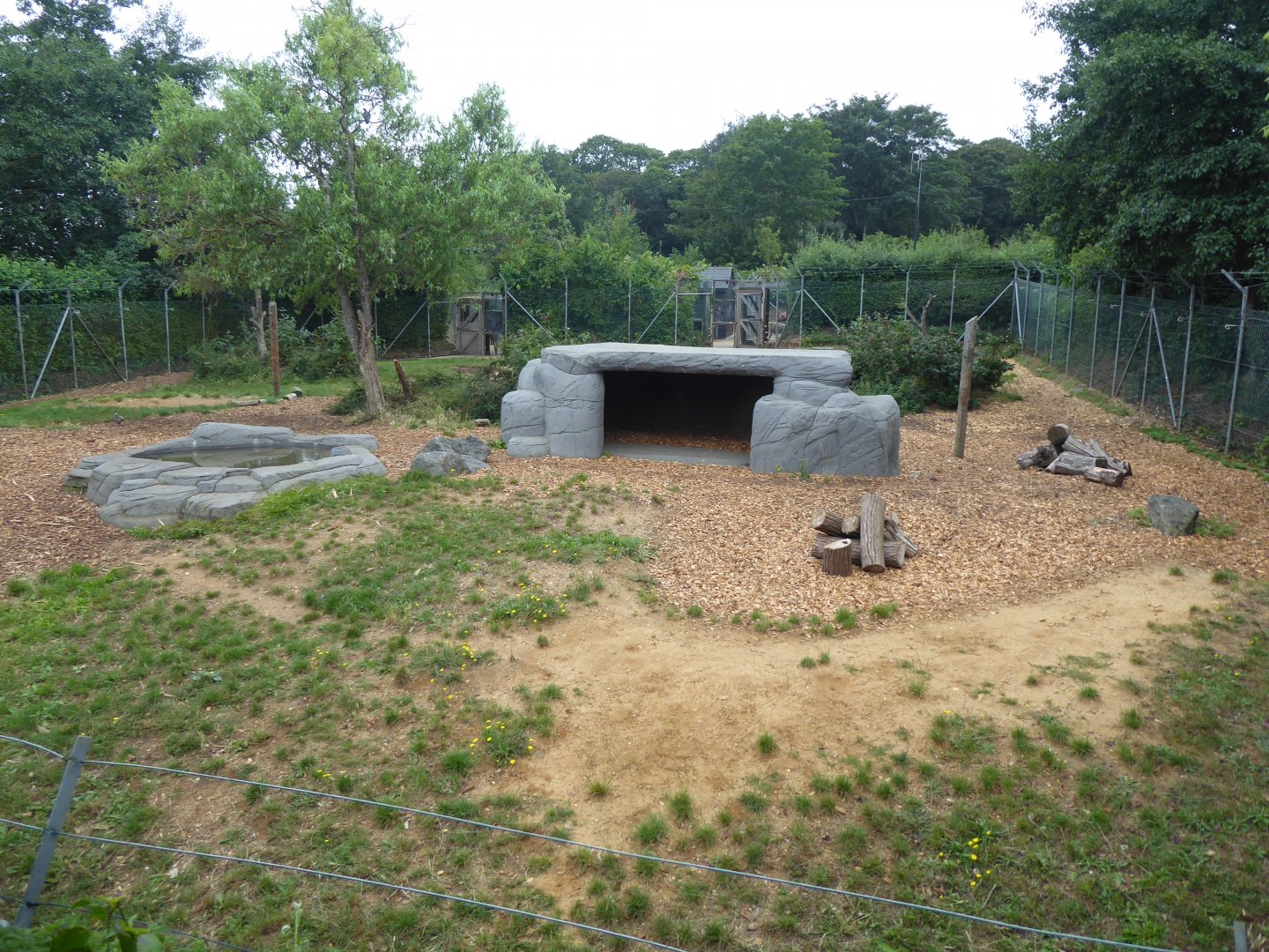 Edge of Africa Spotted hyena exhibit 050819