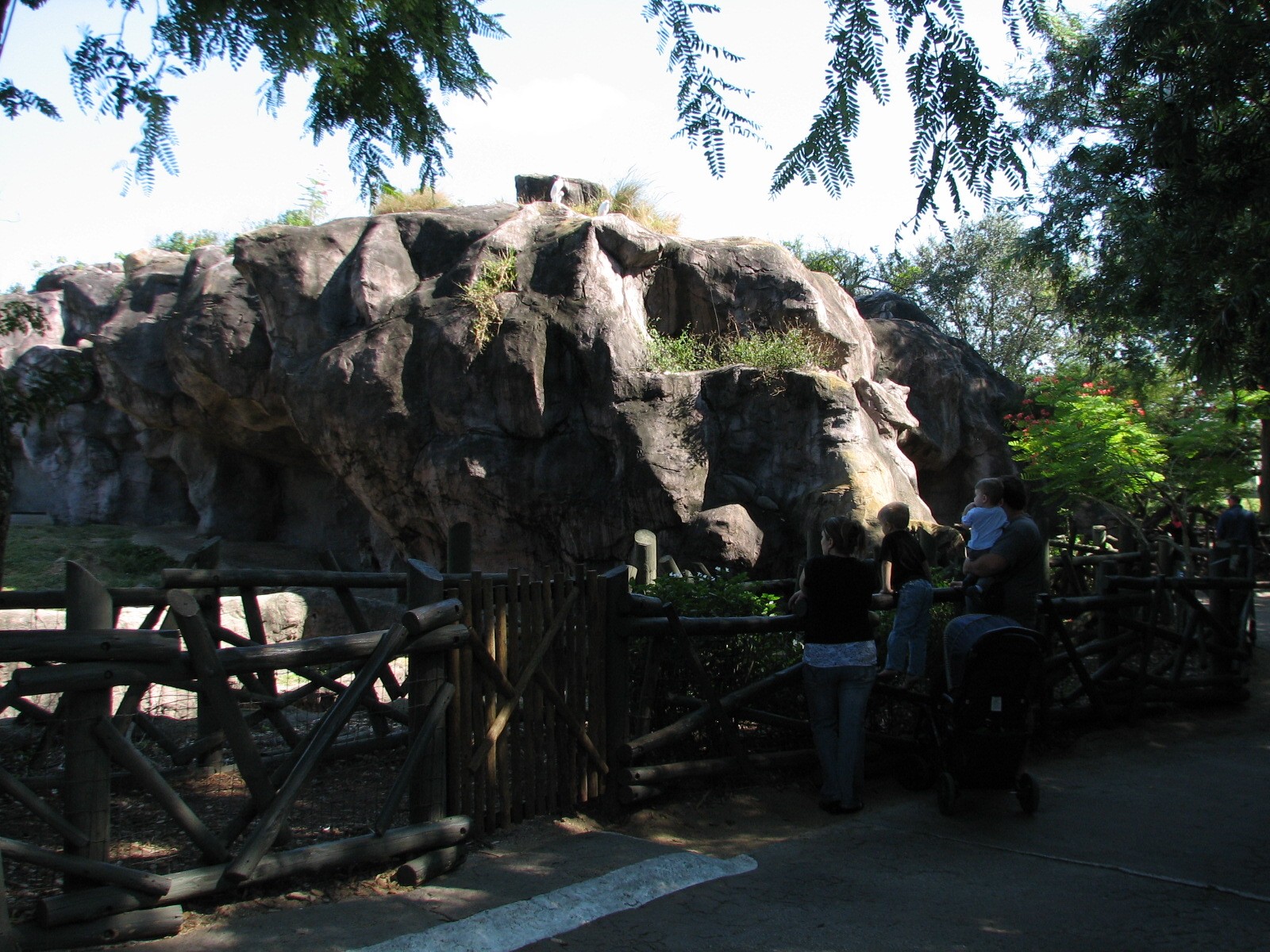 Edge of Africa - Spotted Hyena Exhibit - Viewing Area