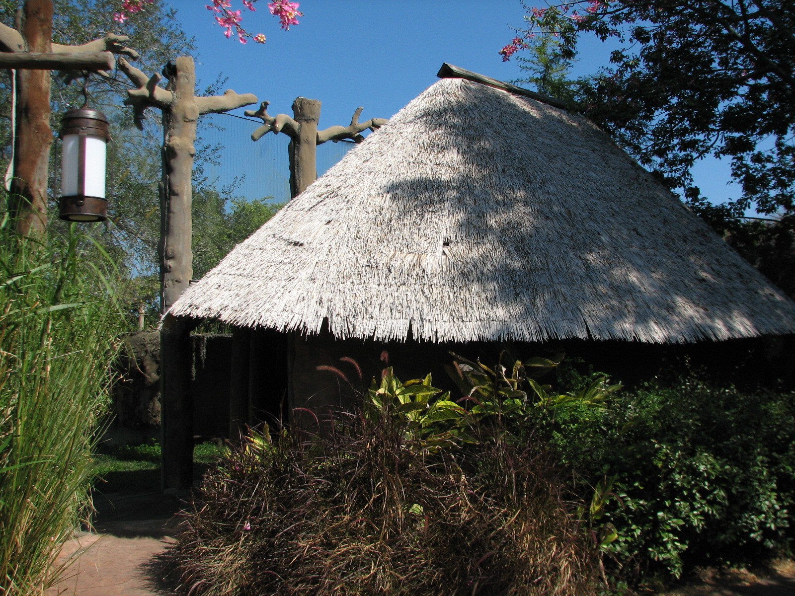 Edge of Africa - Spotted Hyena Exhibit - Viewing Hut Exterior