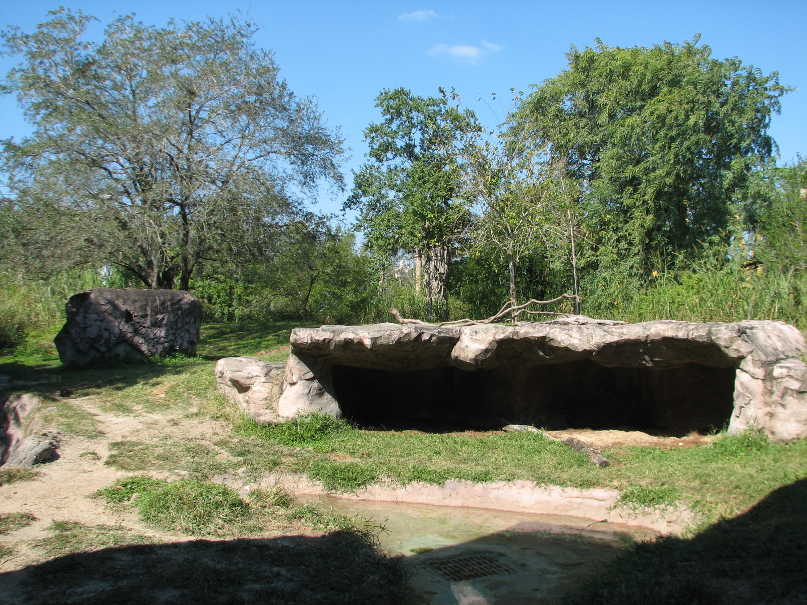 Edge of Africa - Spotted Hyena Exhibit