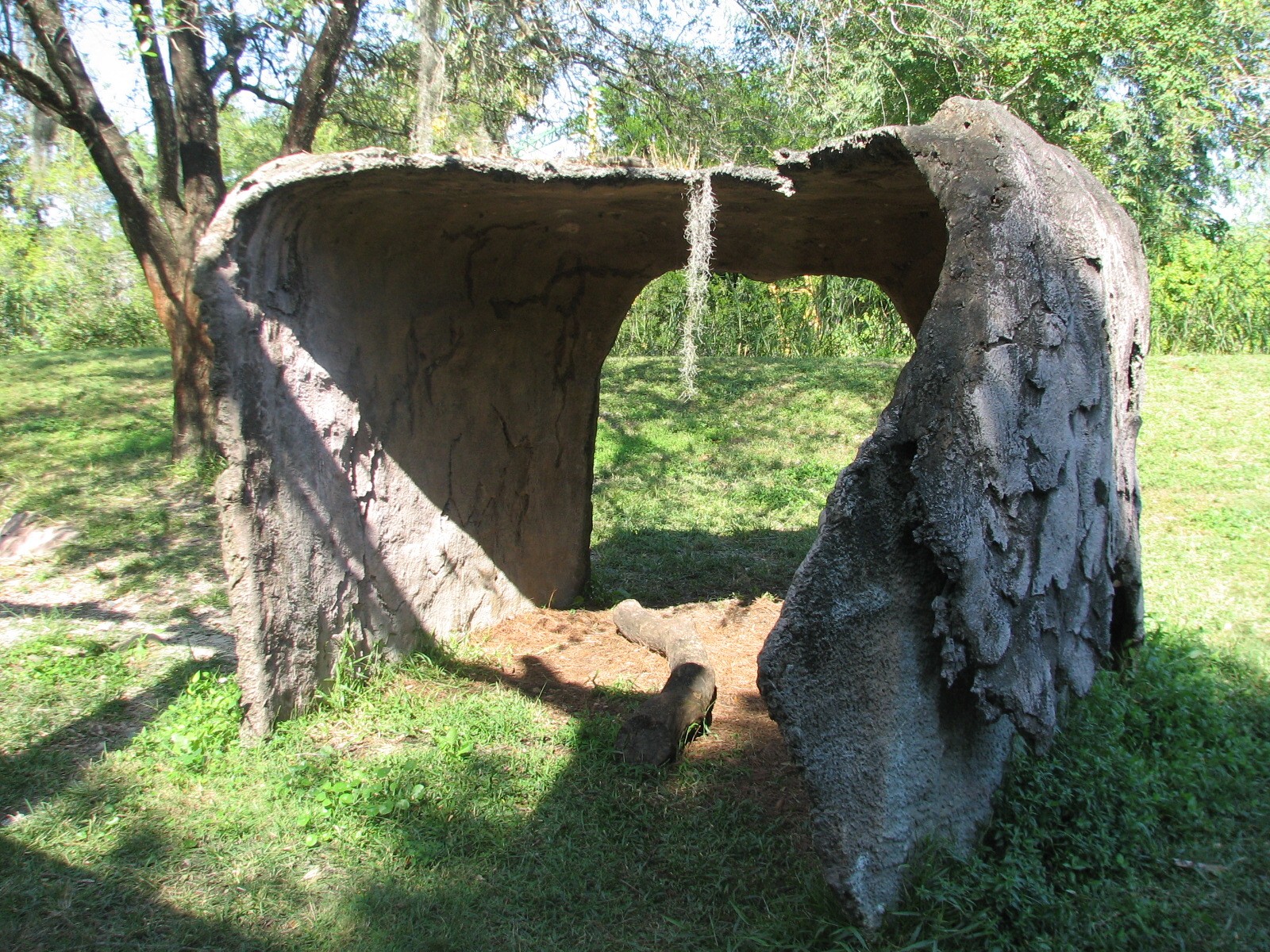 Edge of Africa - Spotted Hyena Exhibit