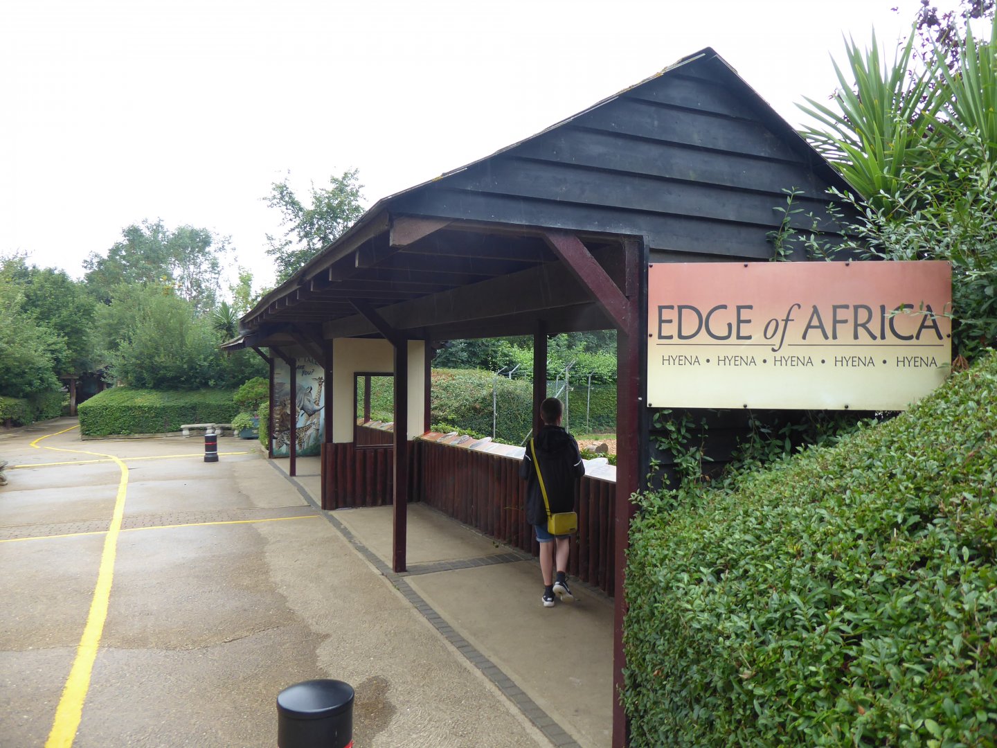 Edge of Africa Spotted hyena viewing area 050819