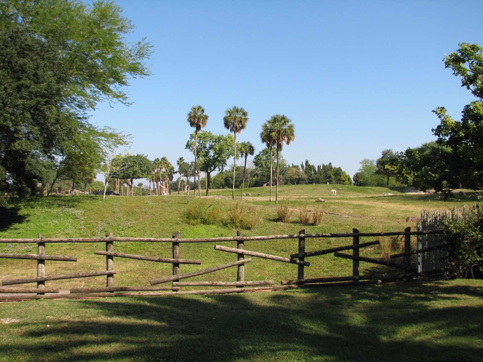 Edge of Africa - View of Serengeti Plain