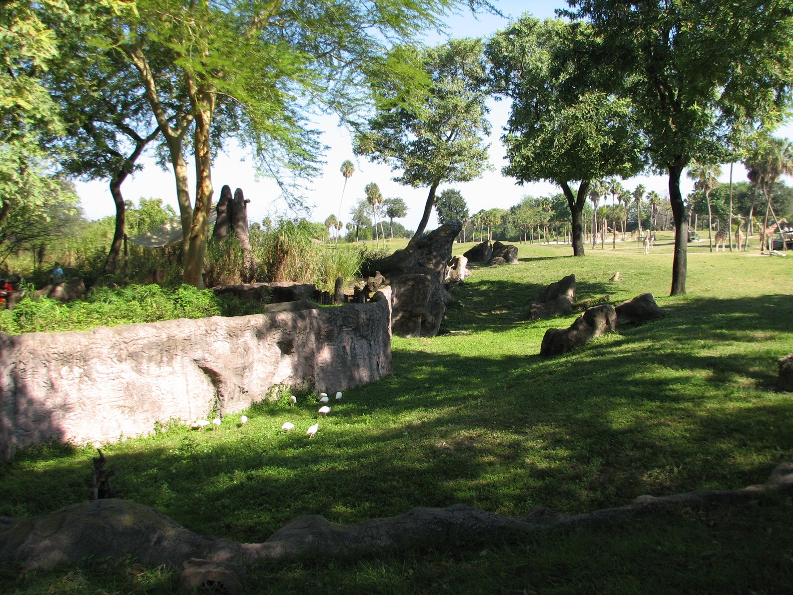 Edge of Africa - View of Serengeti Plain