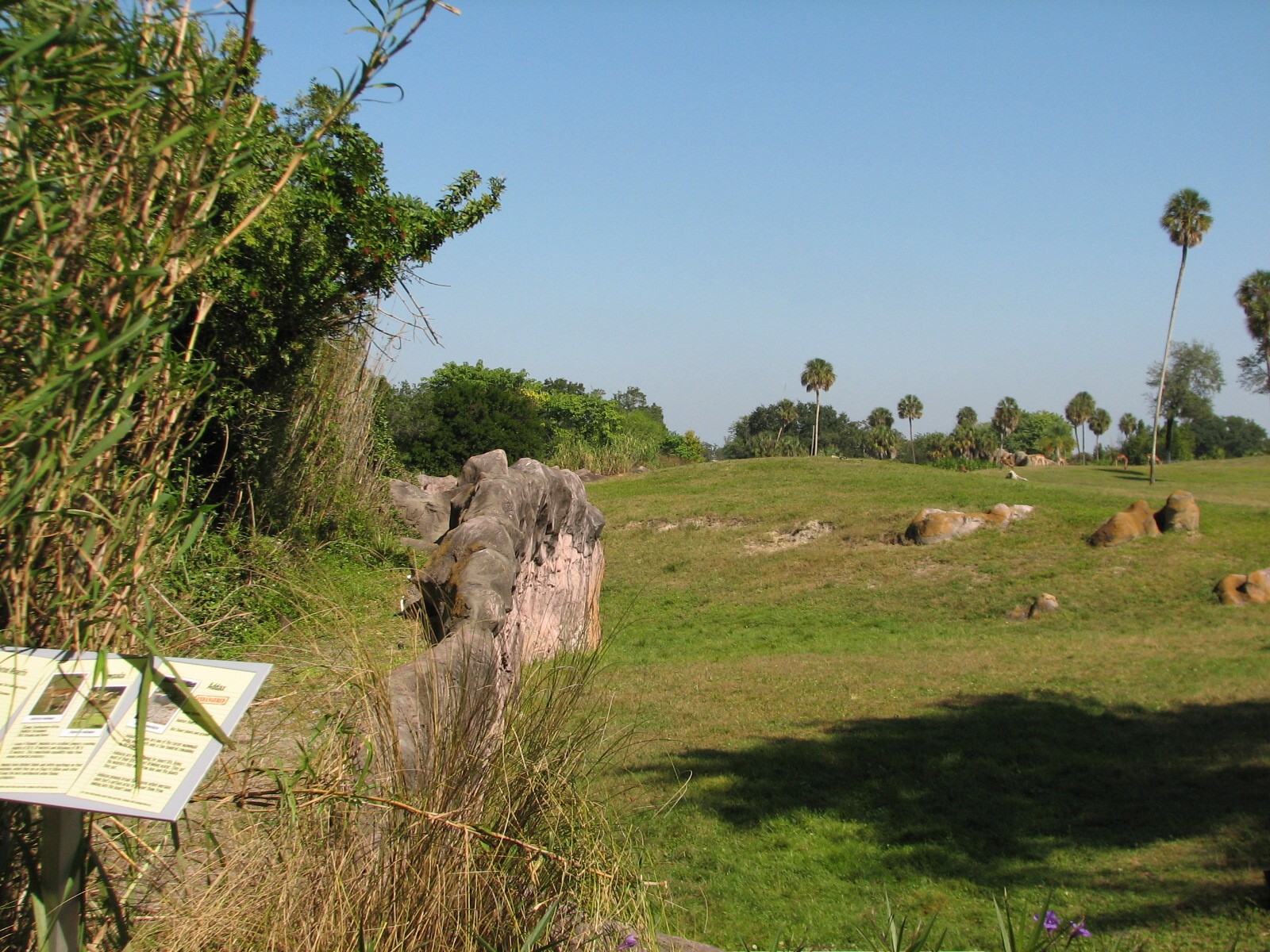 Edge of Africa - View of Serengeti Plain