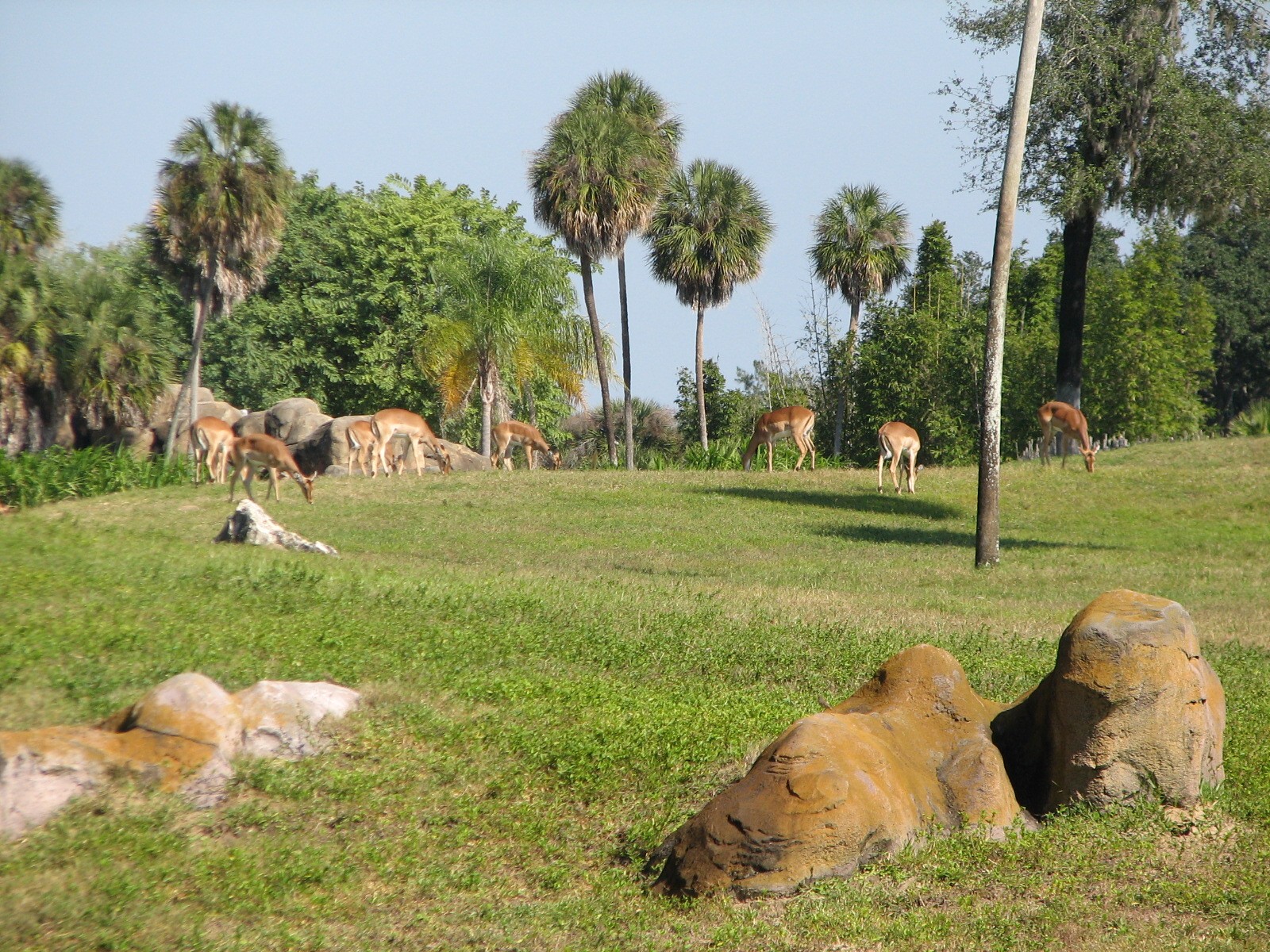 Edge of Africa - View of Serengeti Plain