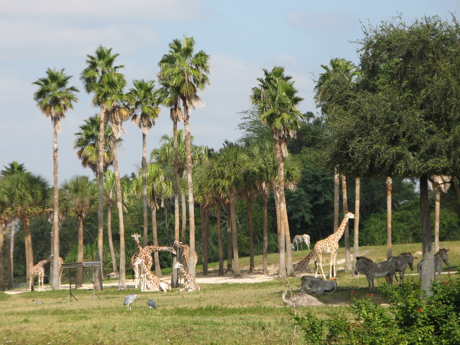 Edge of Africa - View of Serengeti Plain