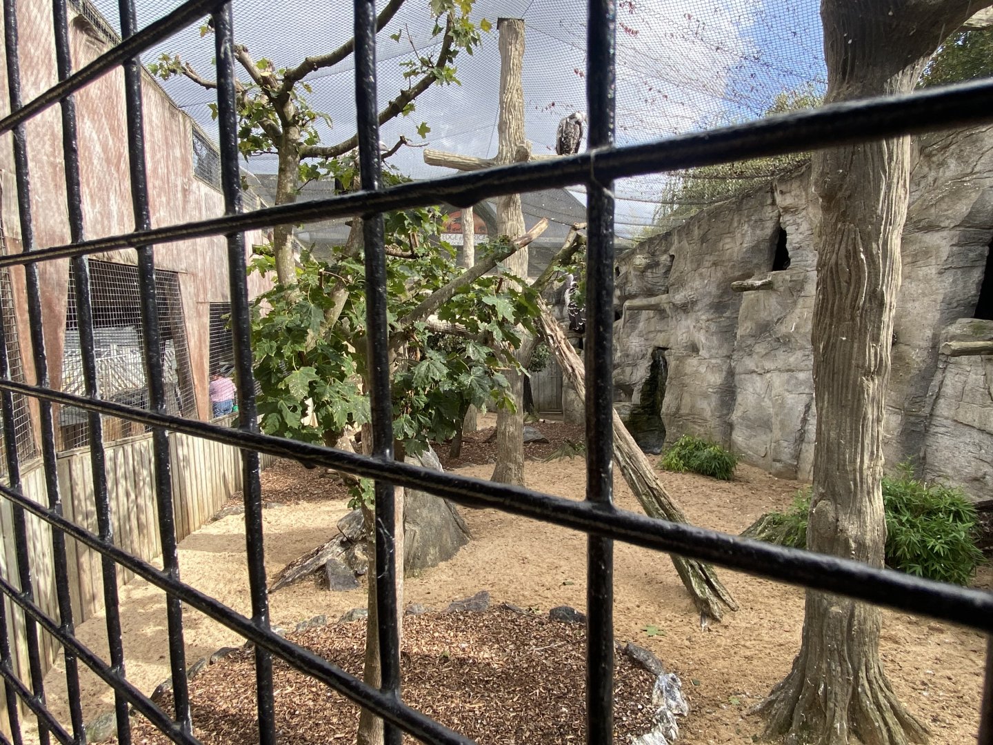 Edge of Africa - Vulture aviary 110925