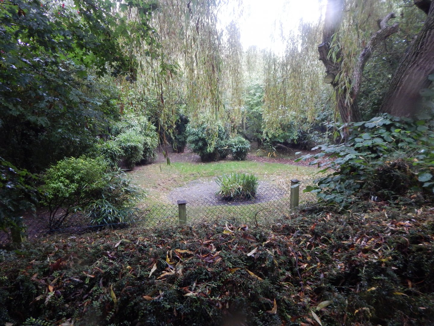 Edge of Africa - Western blue duiker enclosure 140921
