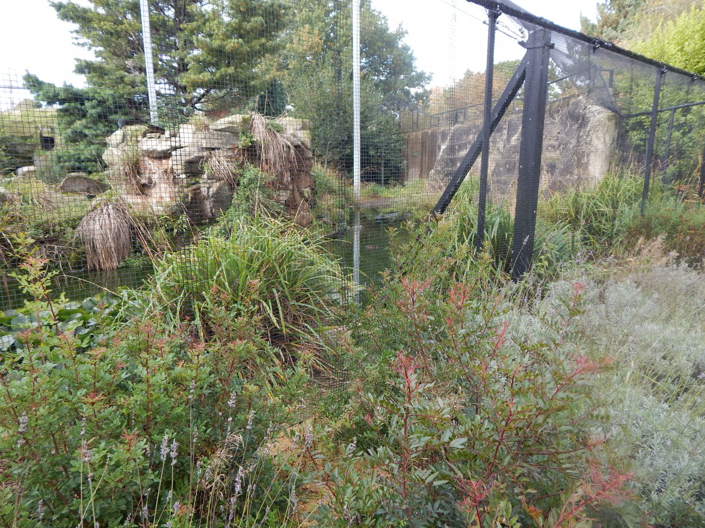 Edge of Europe aviary 071020