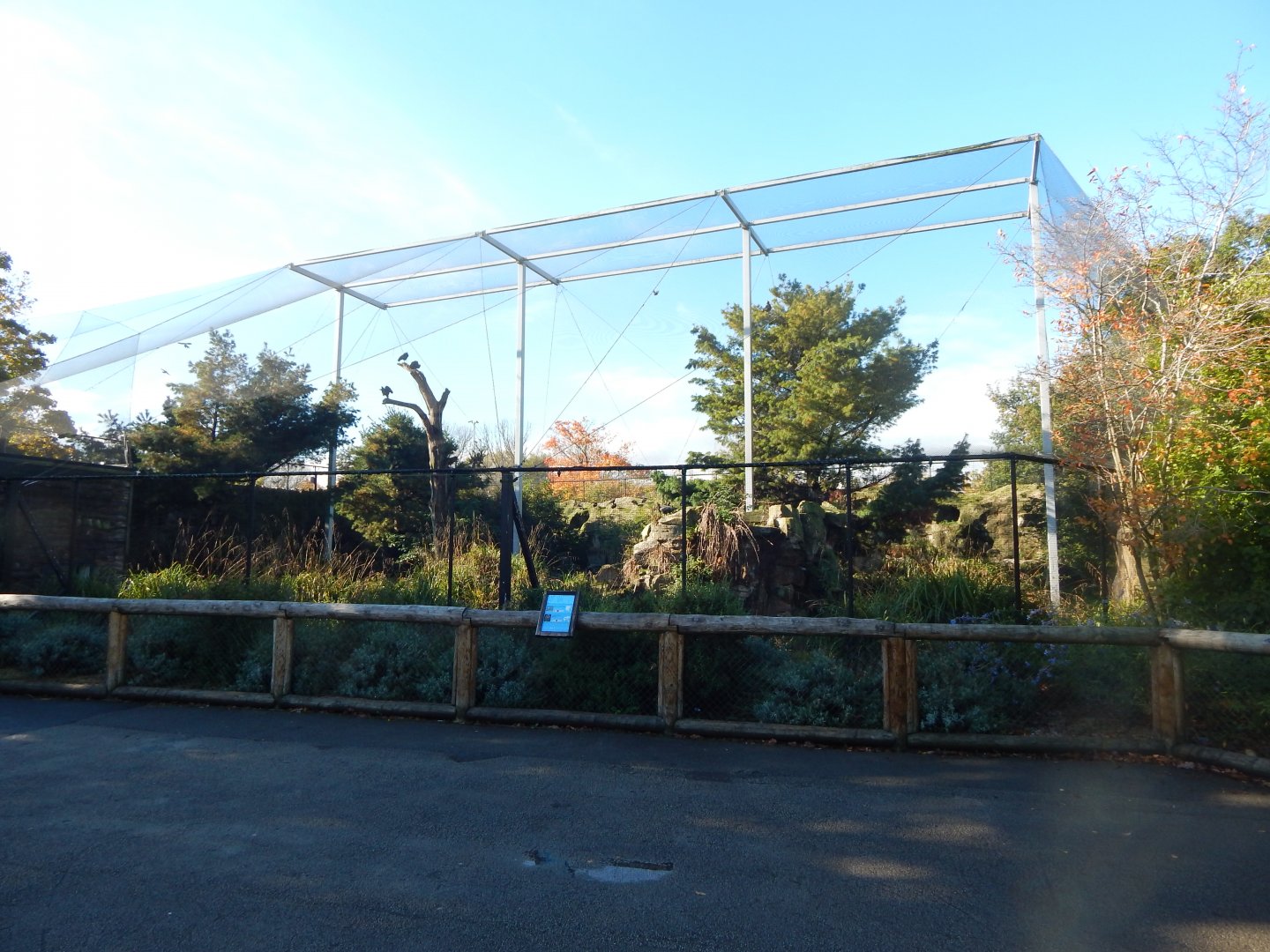 Edge of Europe aviary 081020