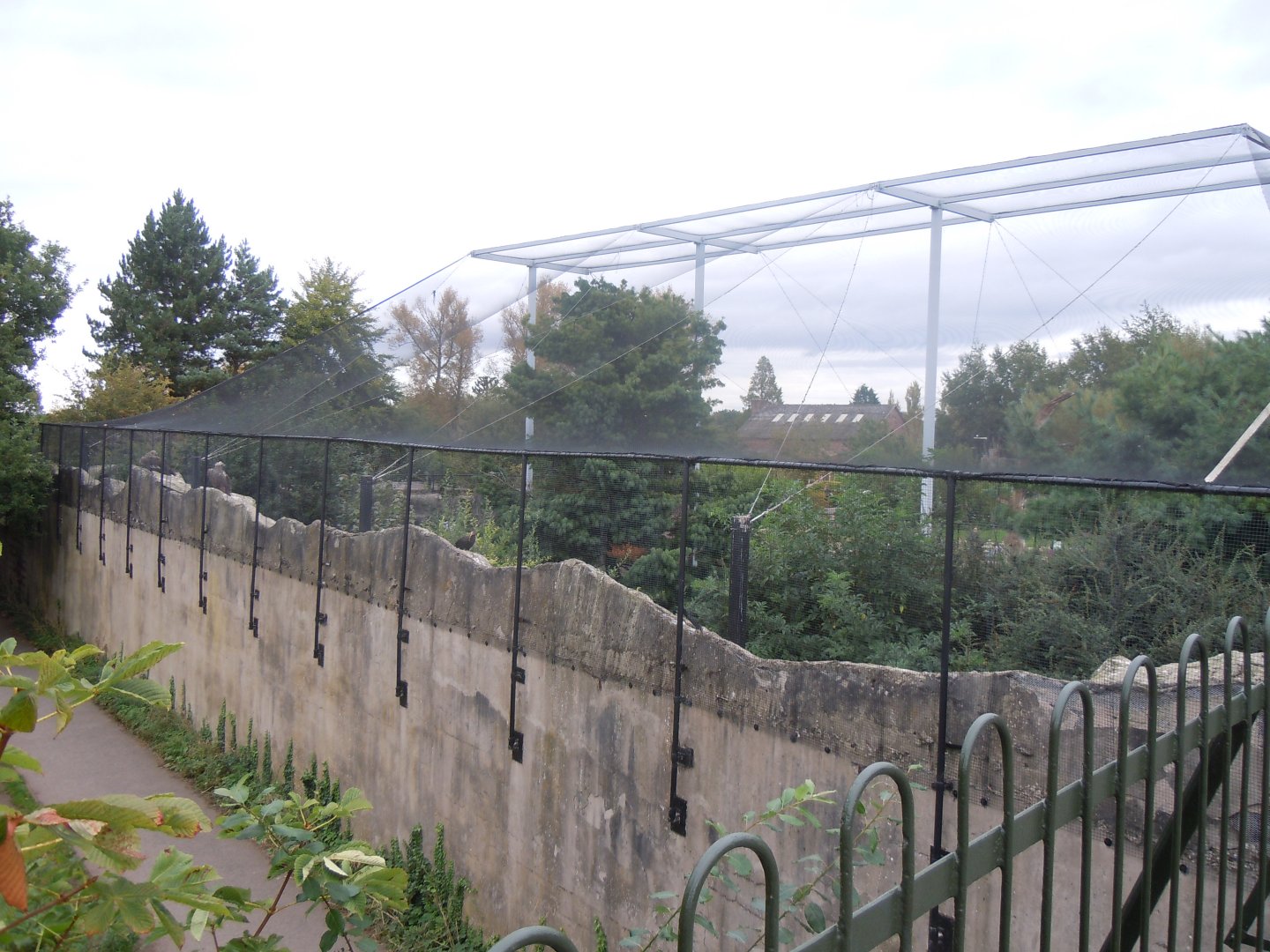 Edge of Europe aviary 110920