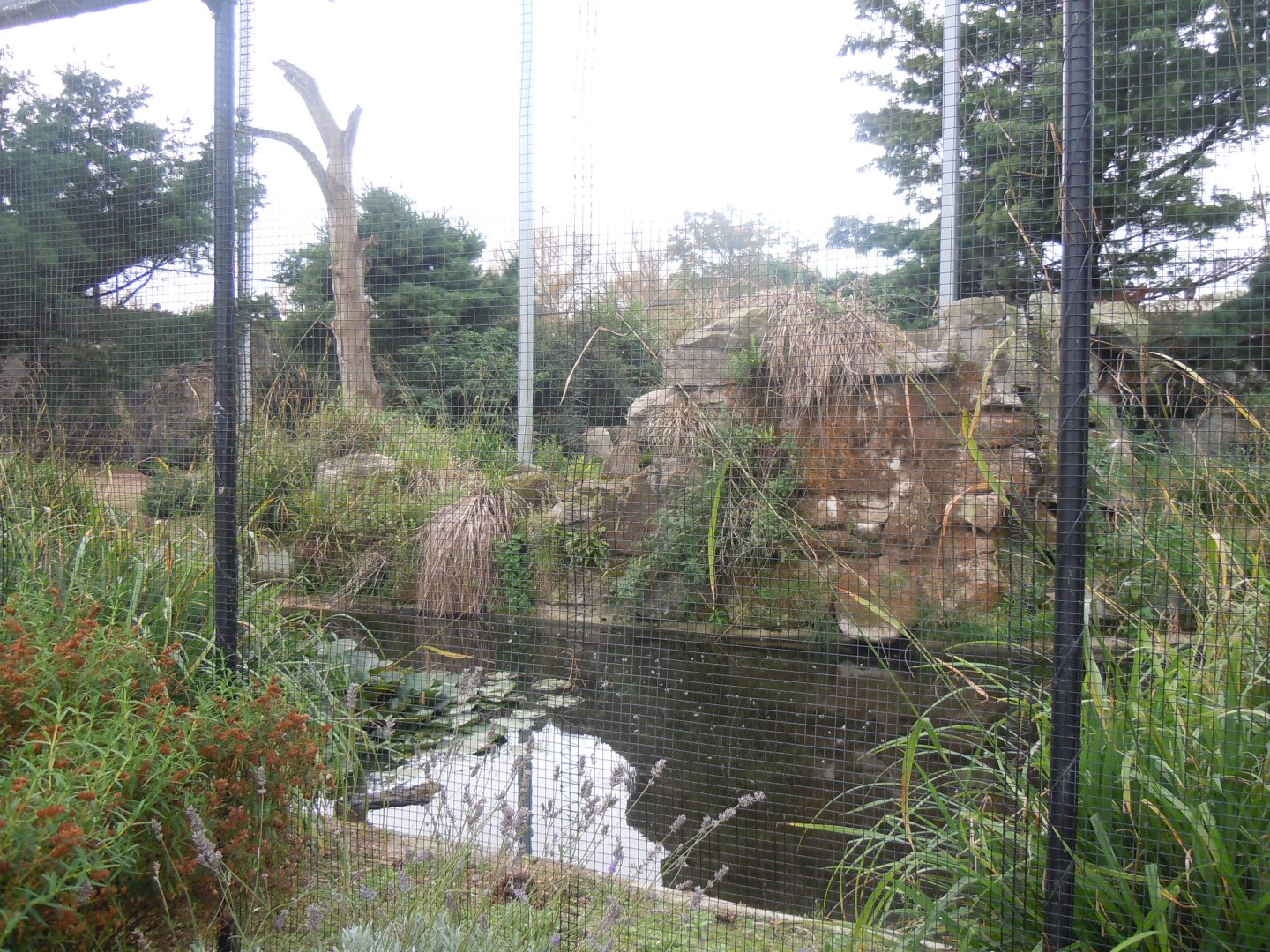 Edge of Europe aviary 110920