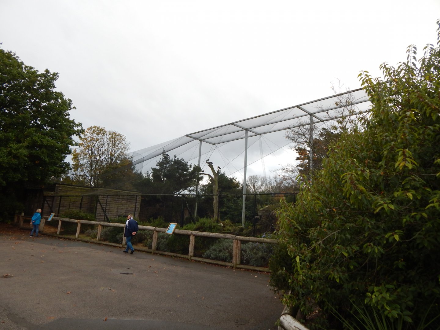 Edge of Europe Aviary 181021