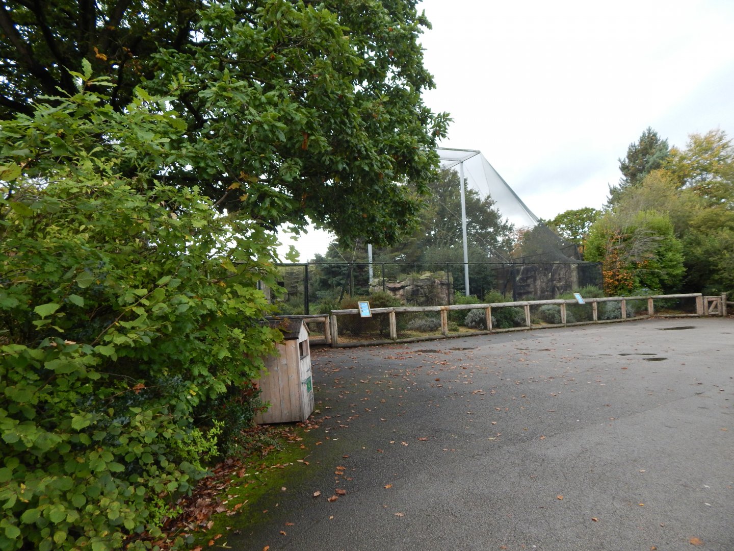 Edge of Europe aviary 191021