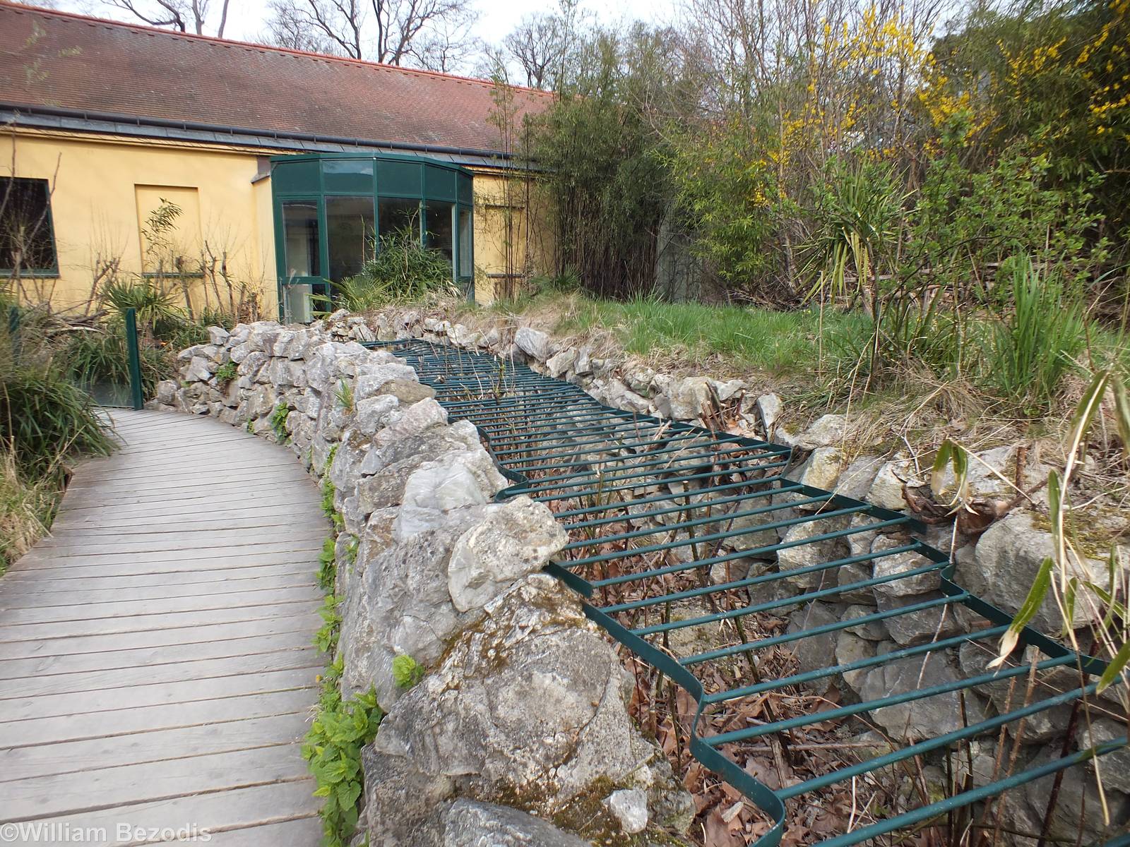 Edge of Giant Tortoise Exhibit