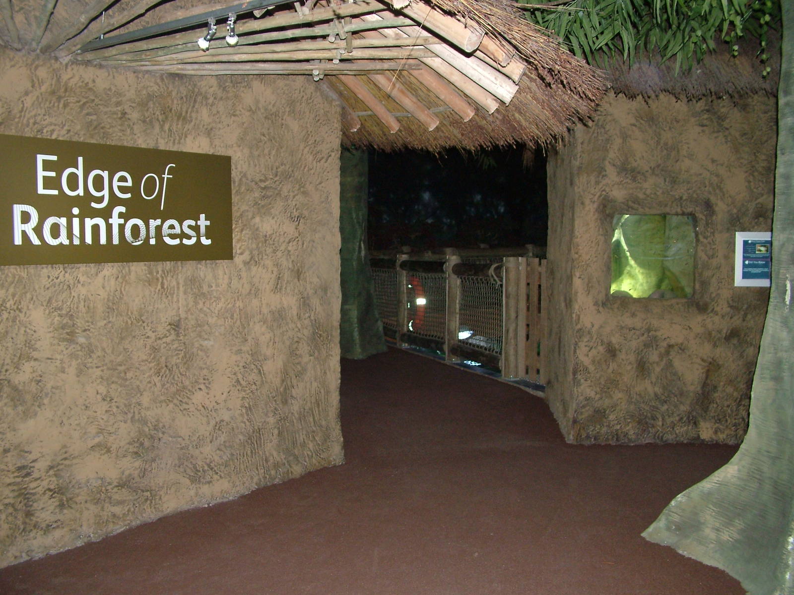 Edge of Rainforest area at Blue Reef Bristol 19/12/09