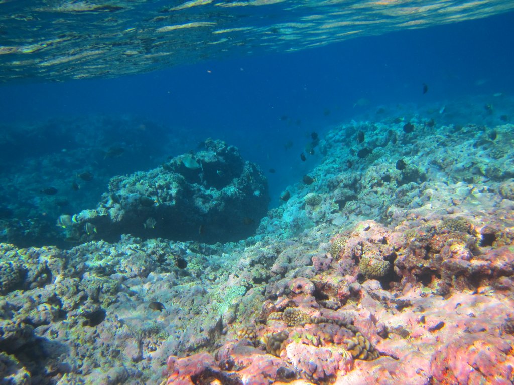 Edge of Reef