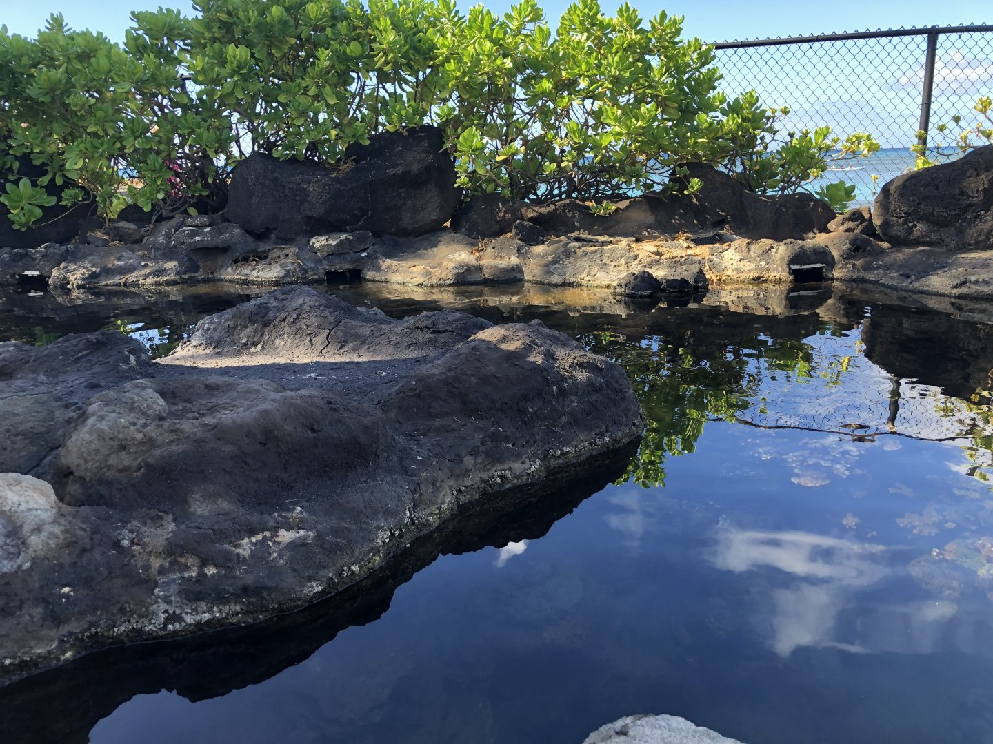 "Edge of the Reef" Topless Tank