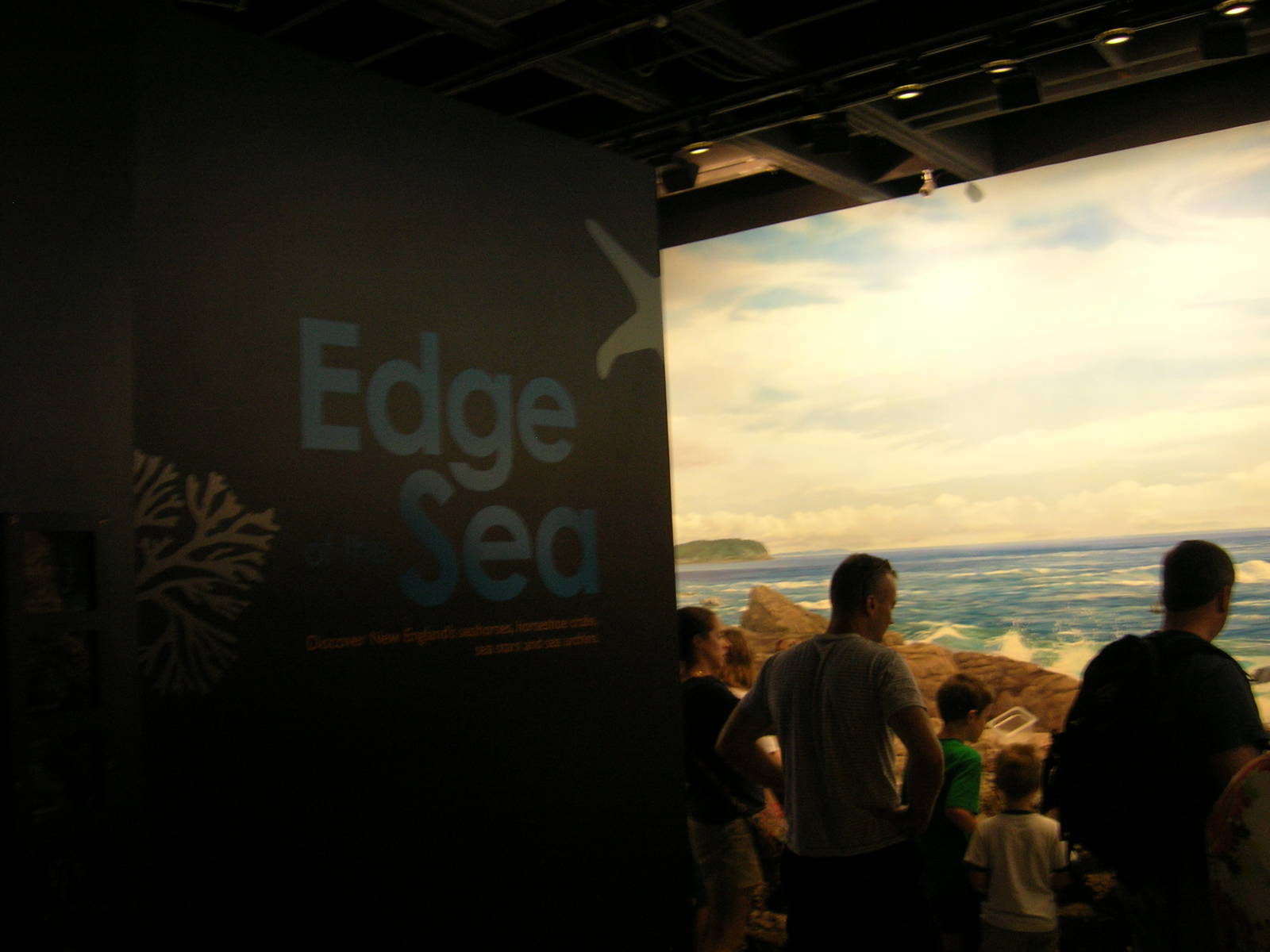 Edge of the Sea Touch Pool