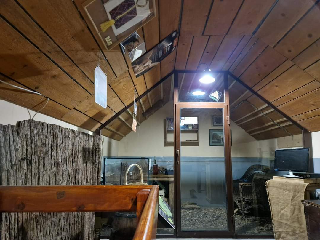 Edible dormouse exhibit